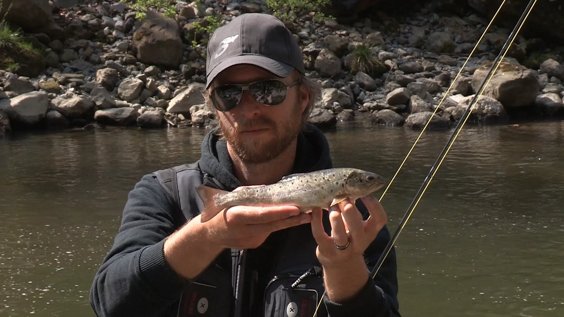 Лов и риболов у Швајцарској, 2. део