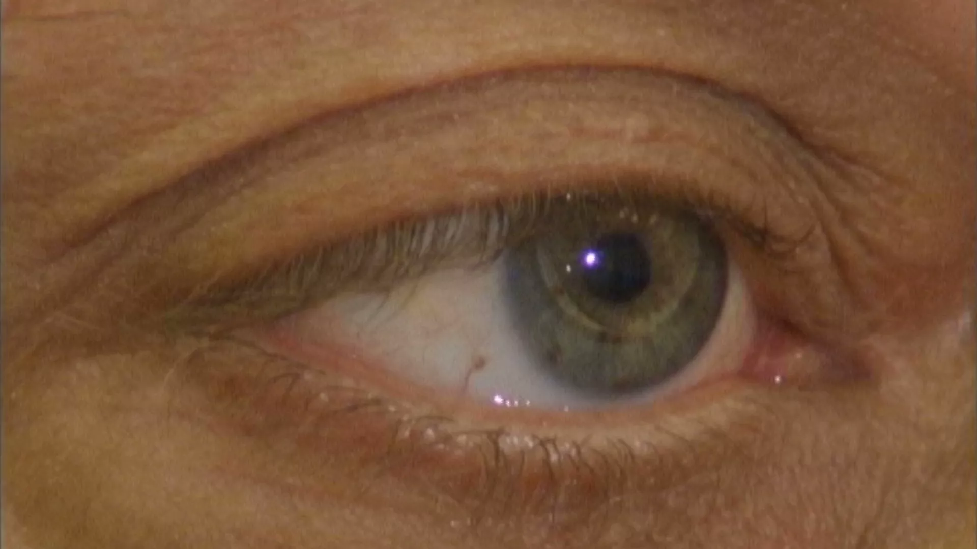 Кругови поезије: Стефан Маларме