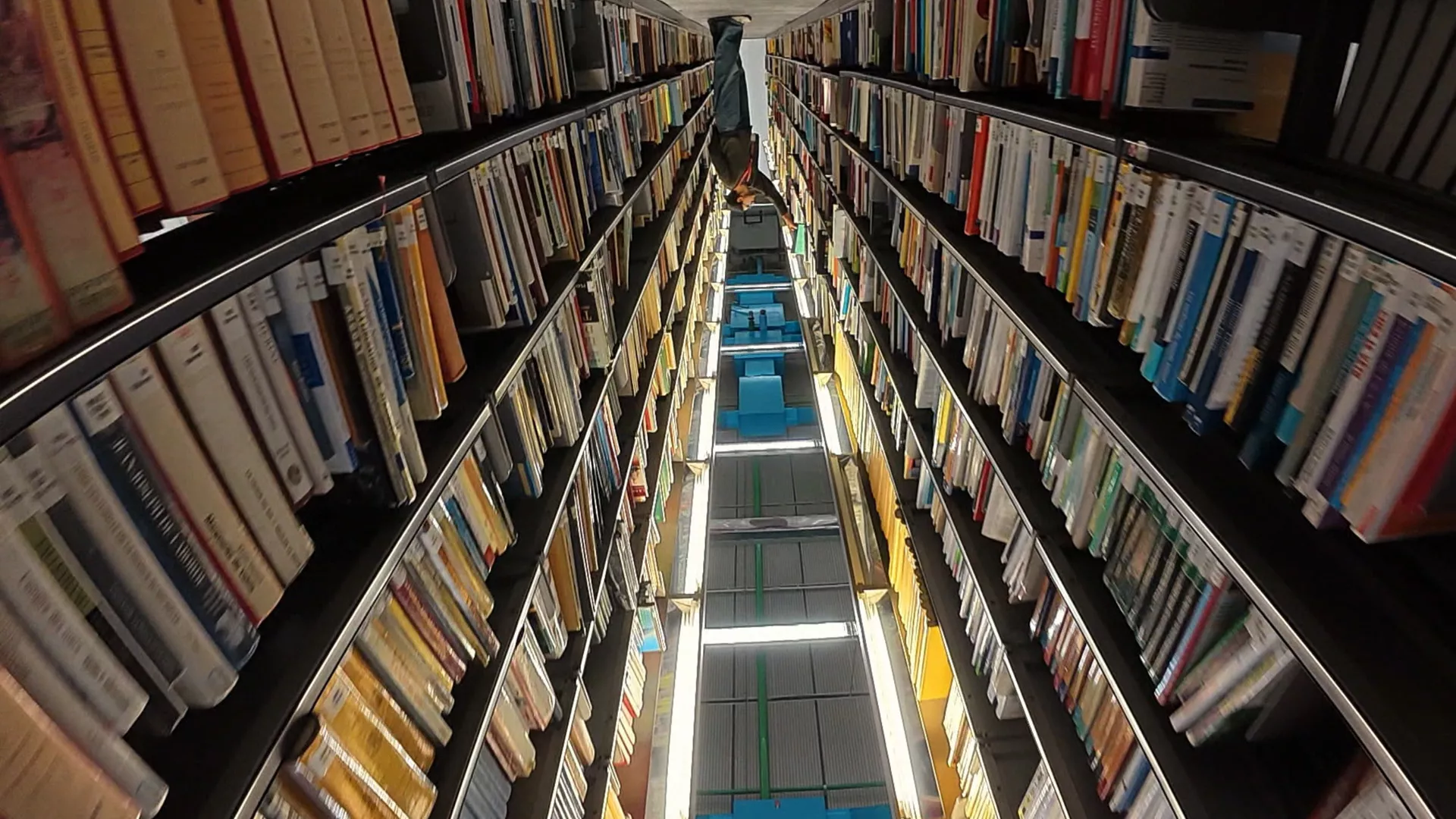 Авангарда, језик лудости: Изнад реалног