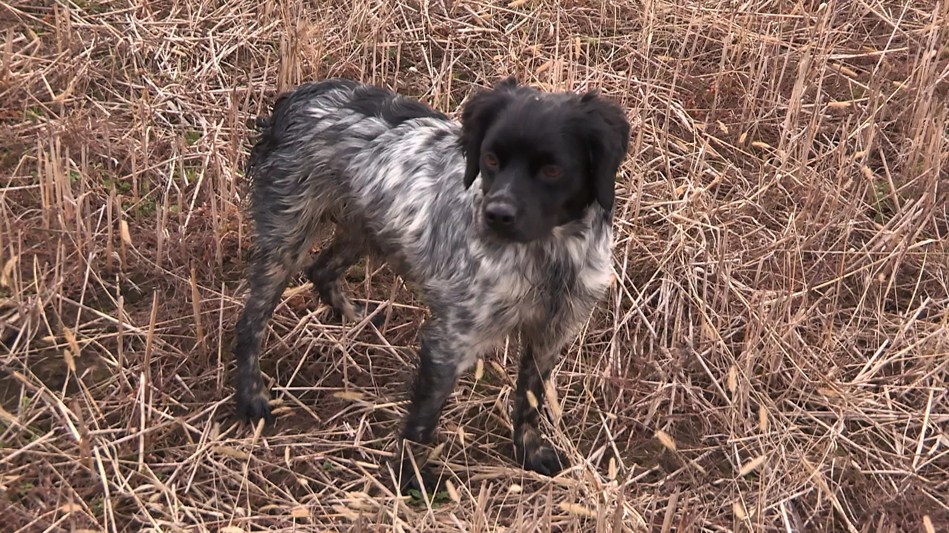 Лов и риболов у Тополи