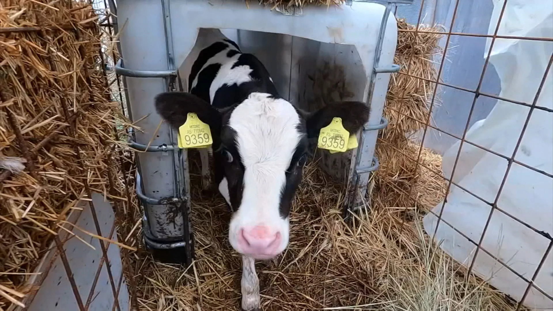 Знање имање: Ризици у производњи