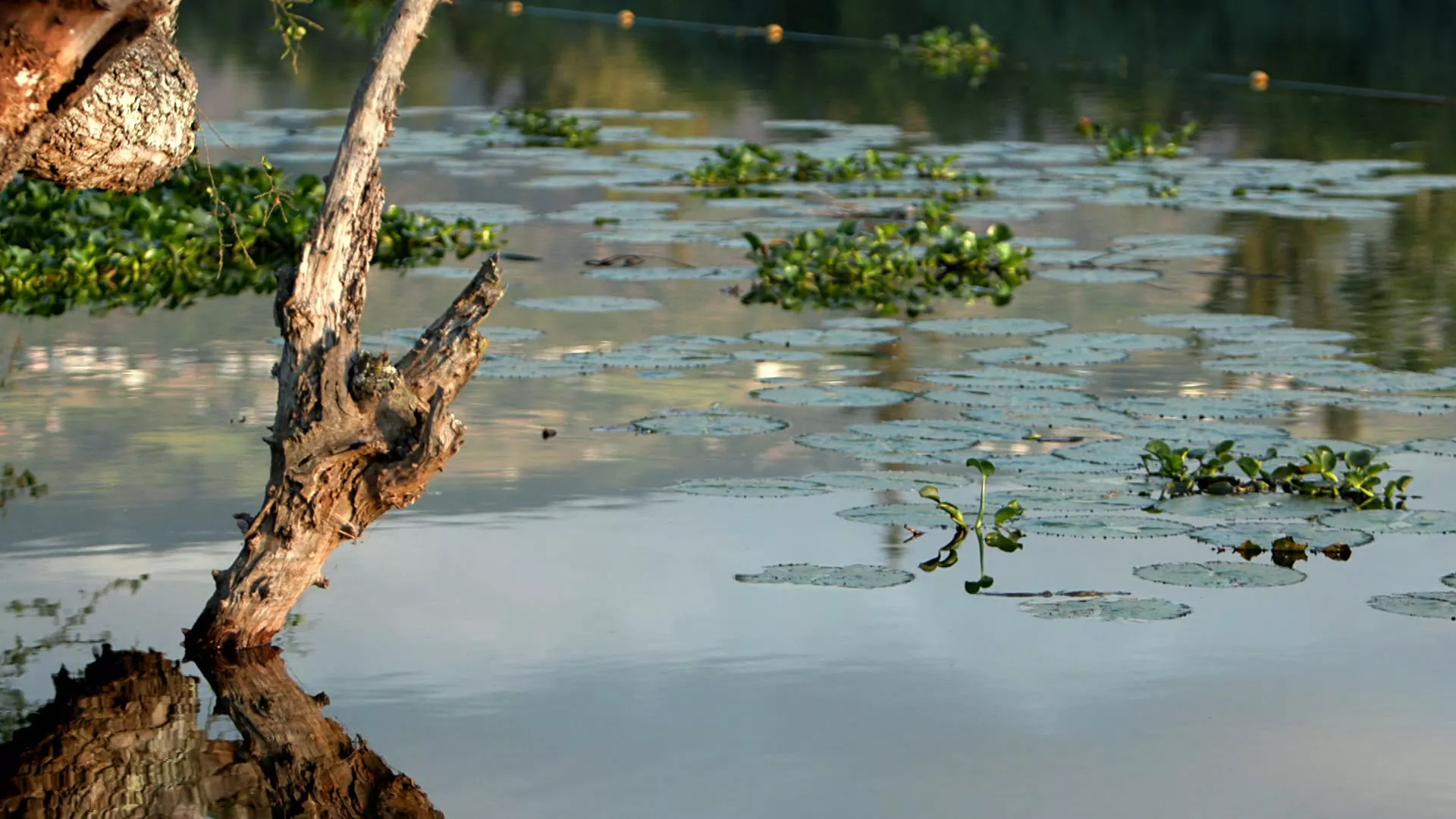 Вода за све