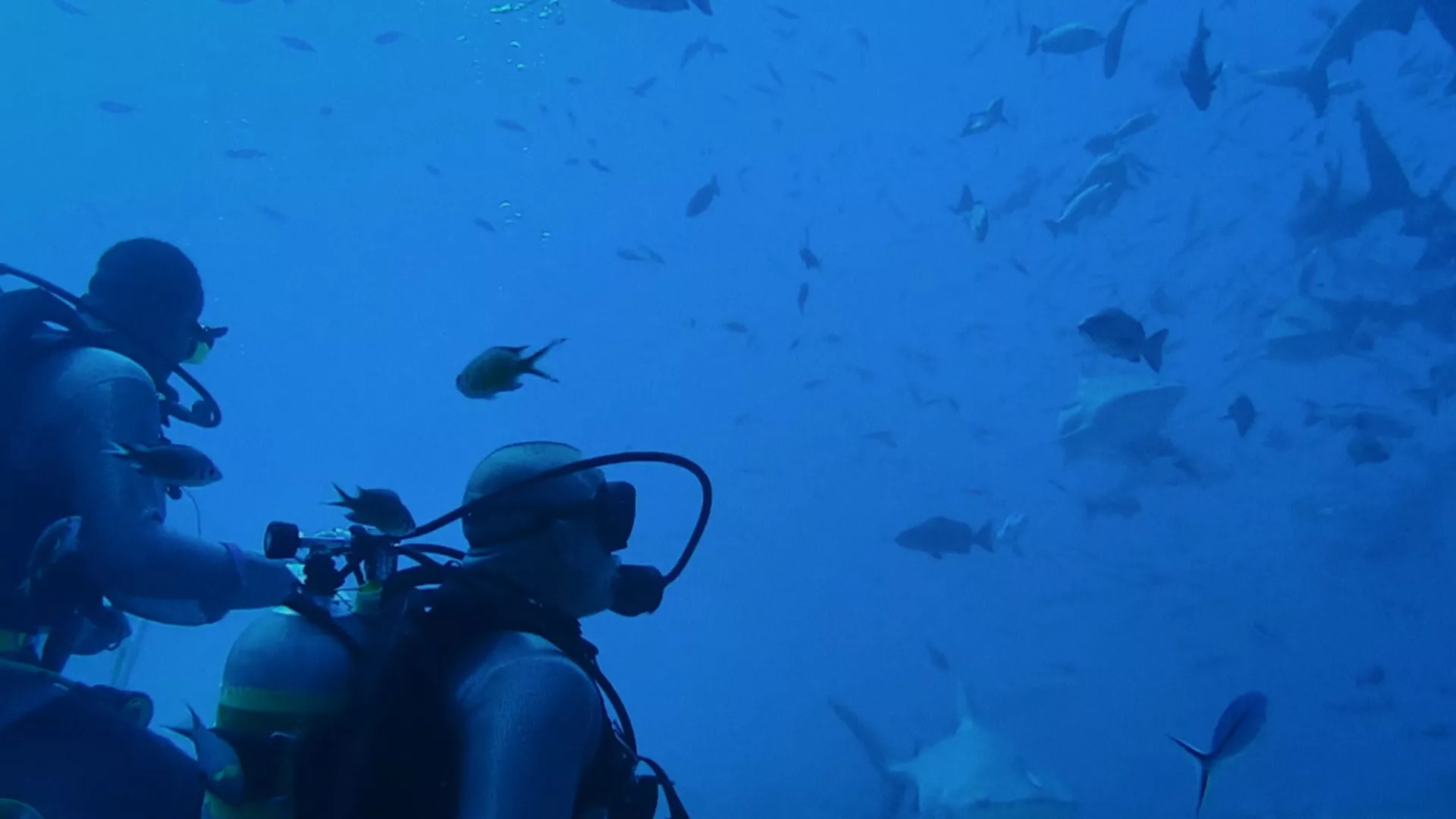 Фантастична планета 3: Планета баланса