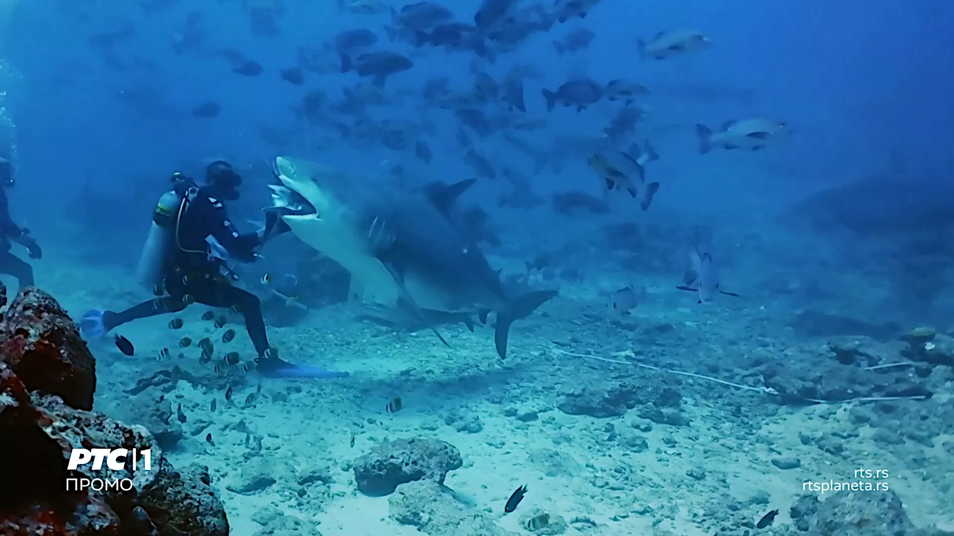 Фантастична планета, последња епизода