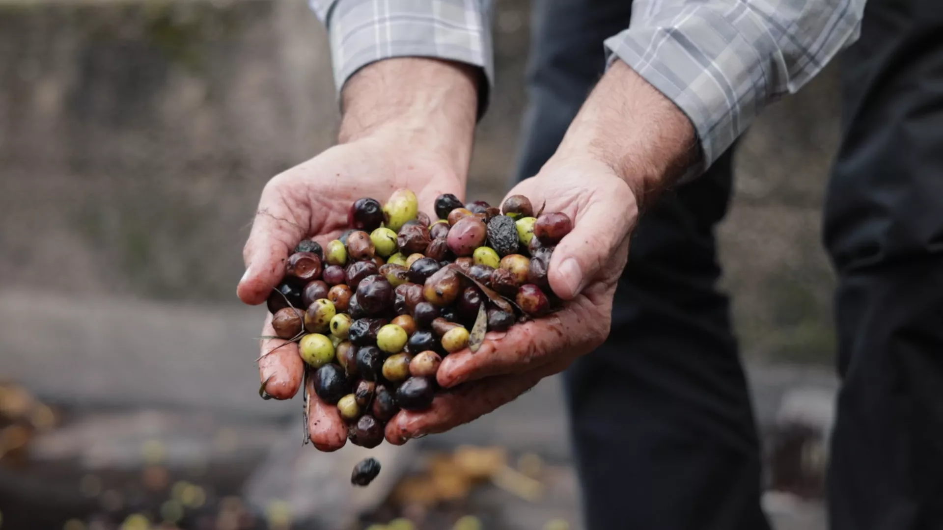 Сасвим природно: Барска јесен, 1. део