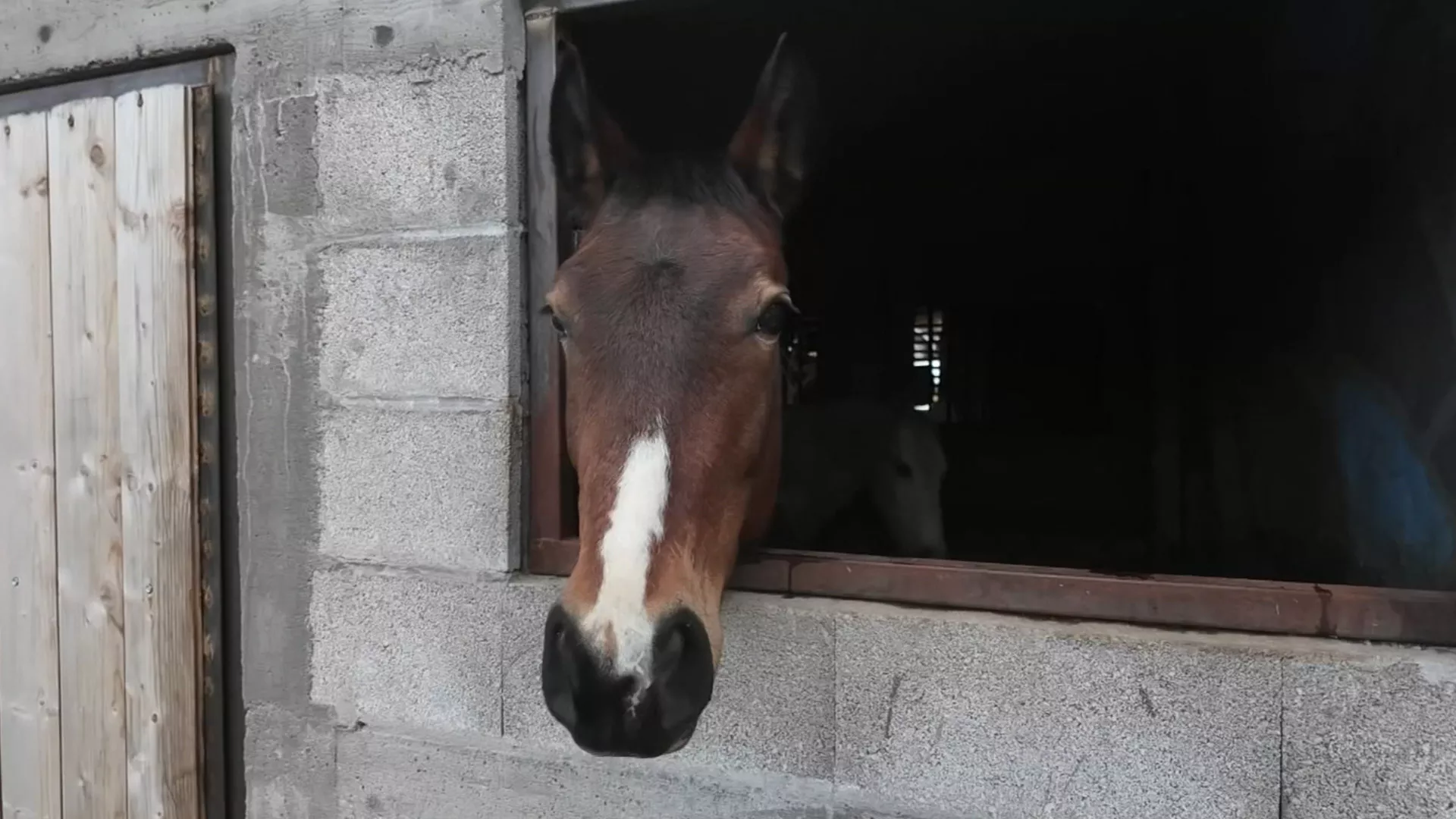 Грађанин, 13. фебруар 2026.