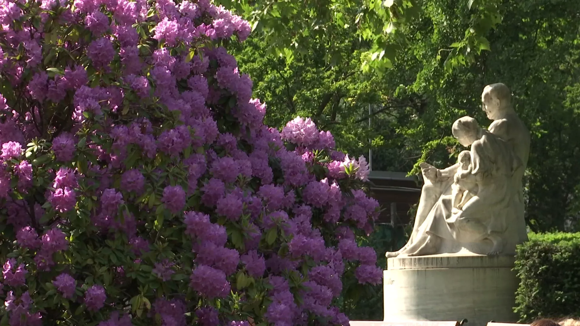 Зелена Европа: Беч, 1. део