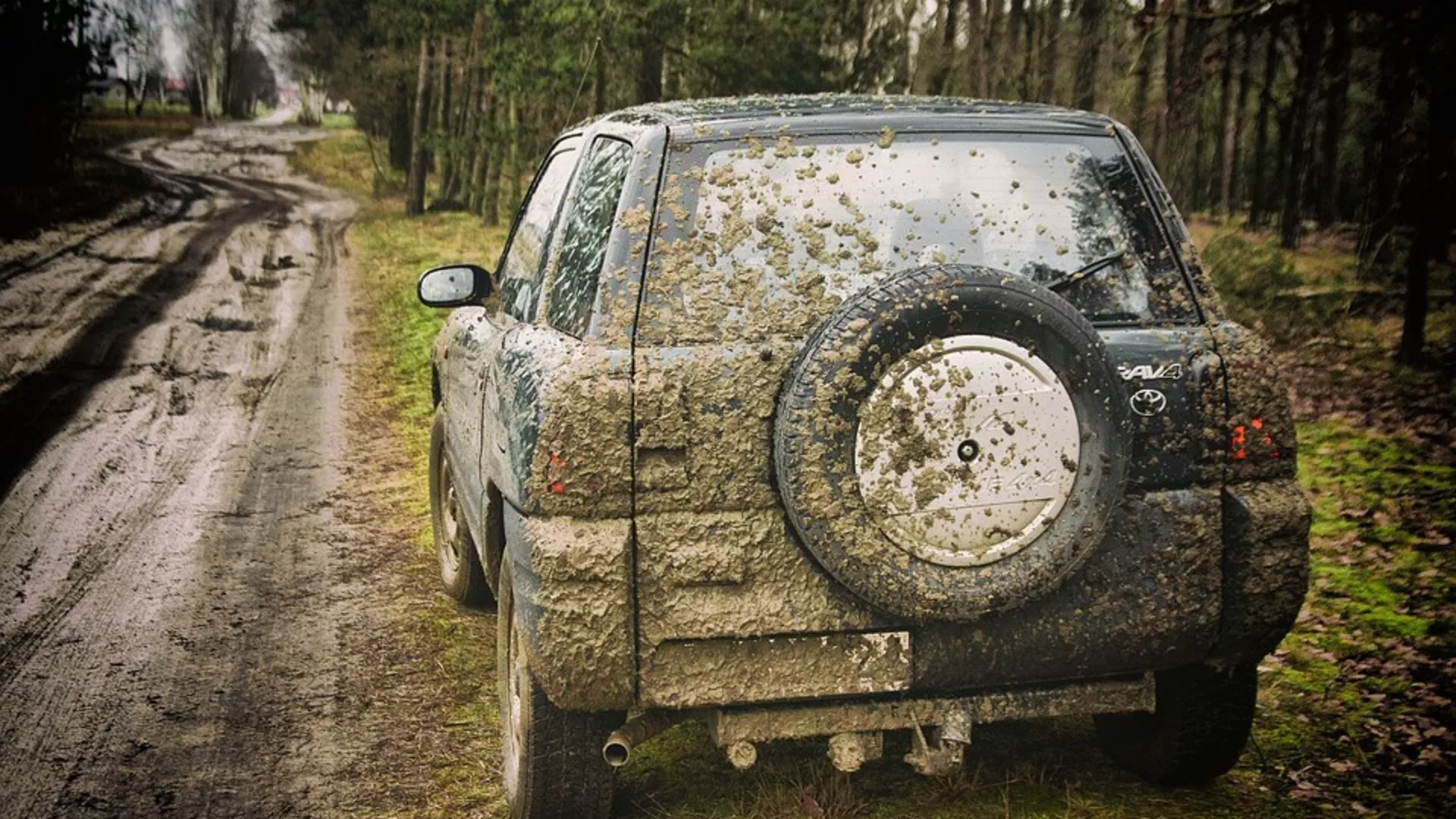 Дионис – Кармен Јовановић
