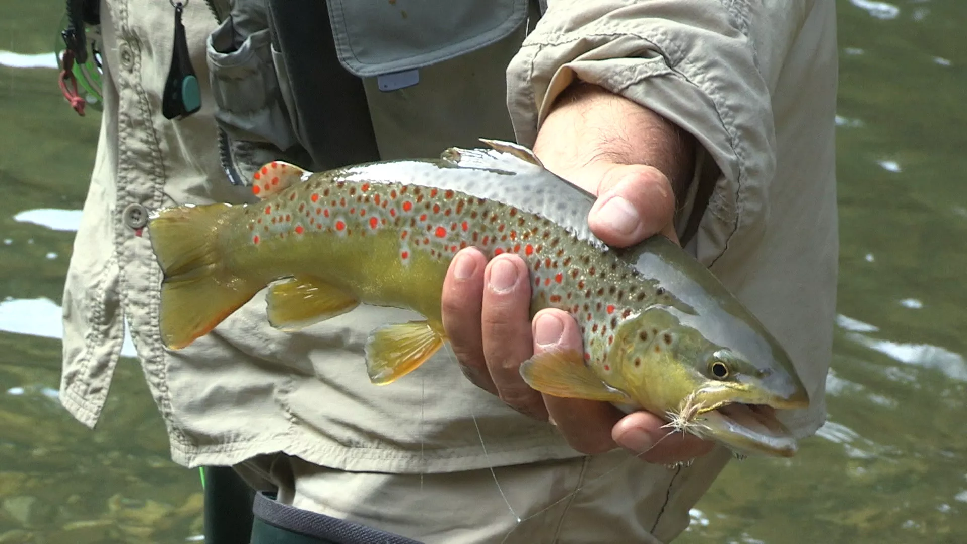 Лов и риболов: Природним мерама за еколошки Градац