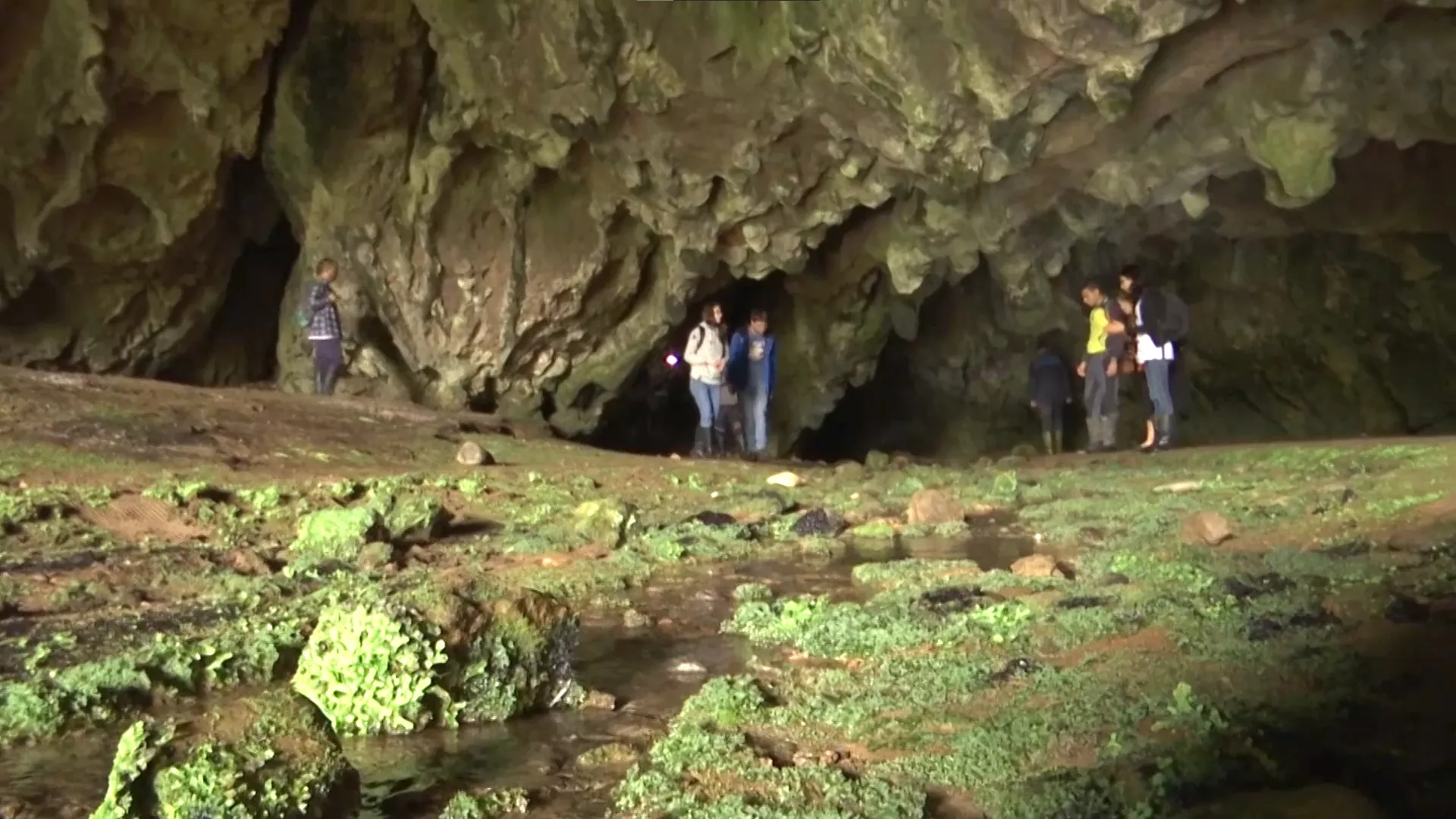 Рибница – грађанска експедиција