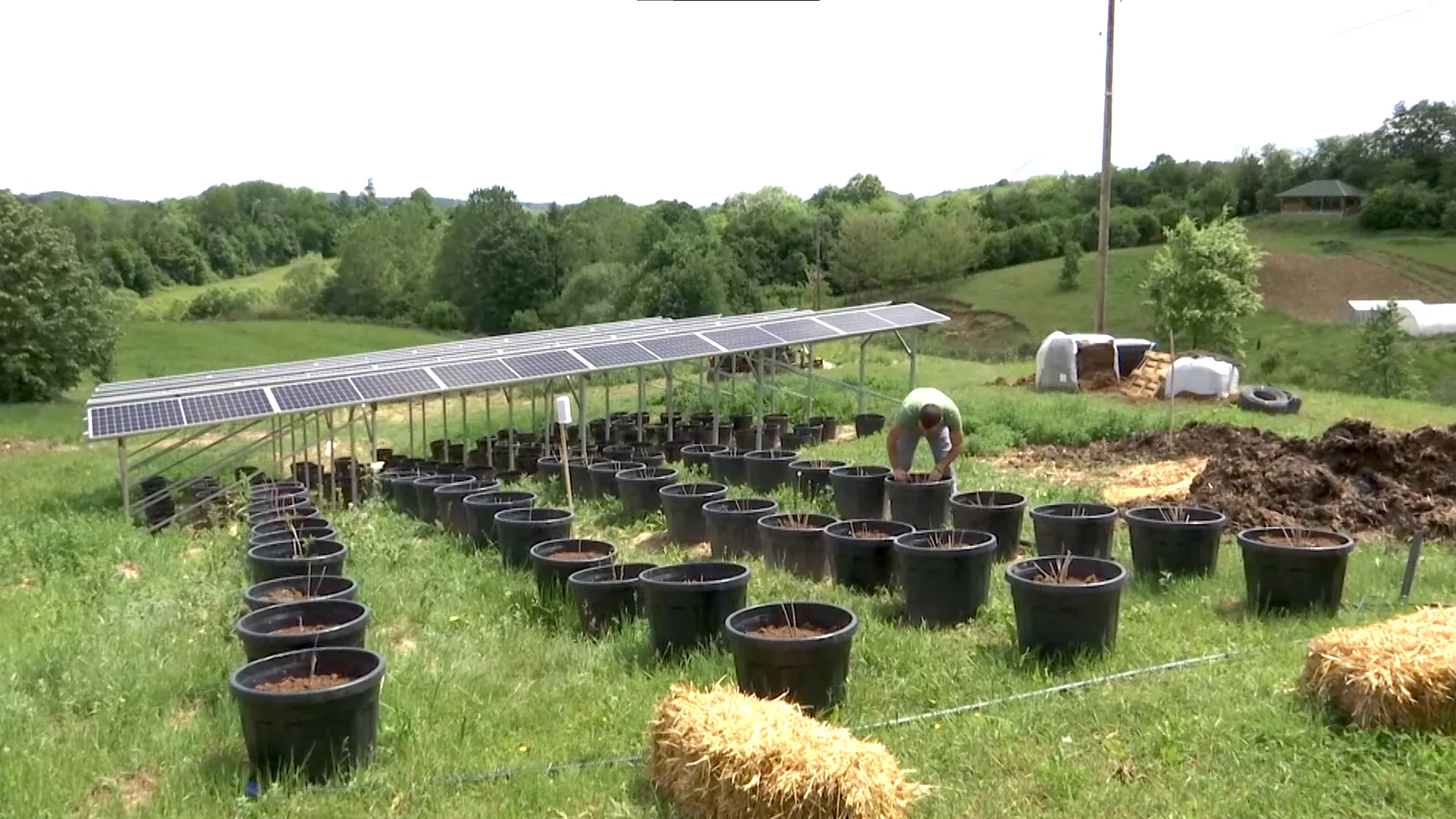 Аеросоларни засад