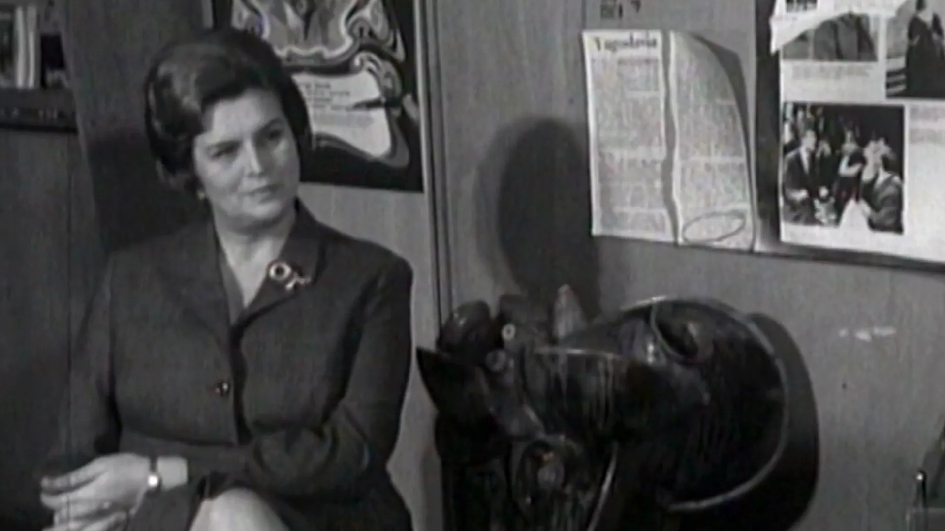 Дијапазон: Мира Траиловић