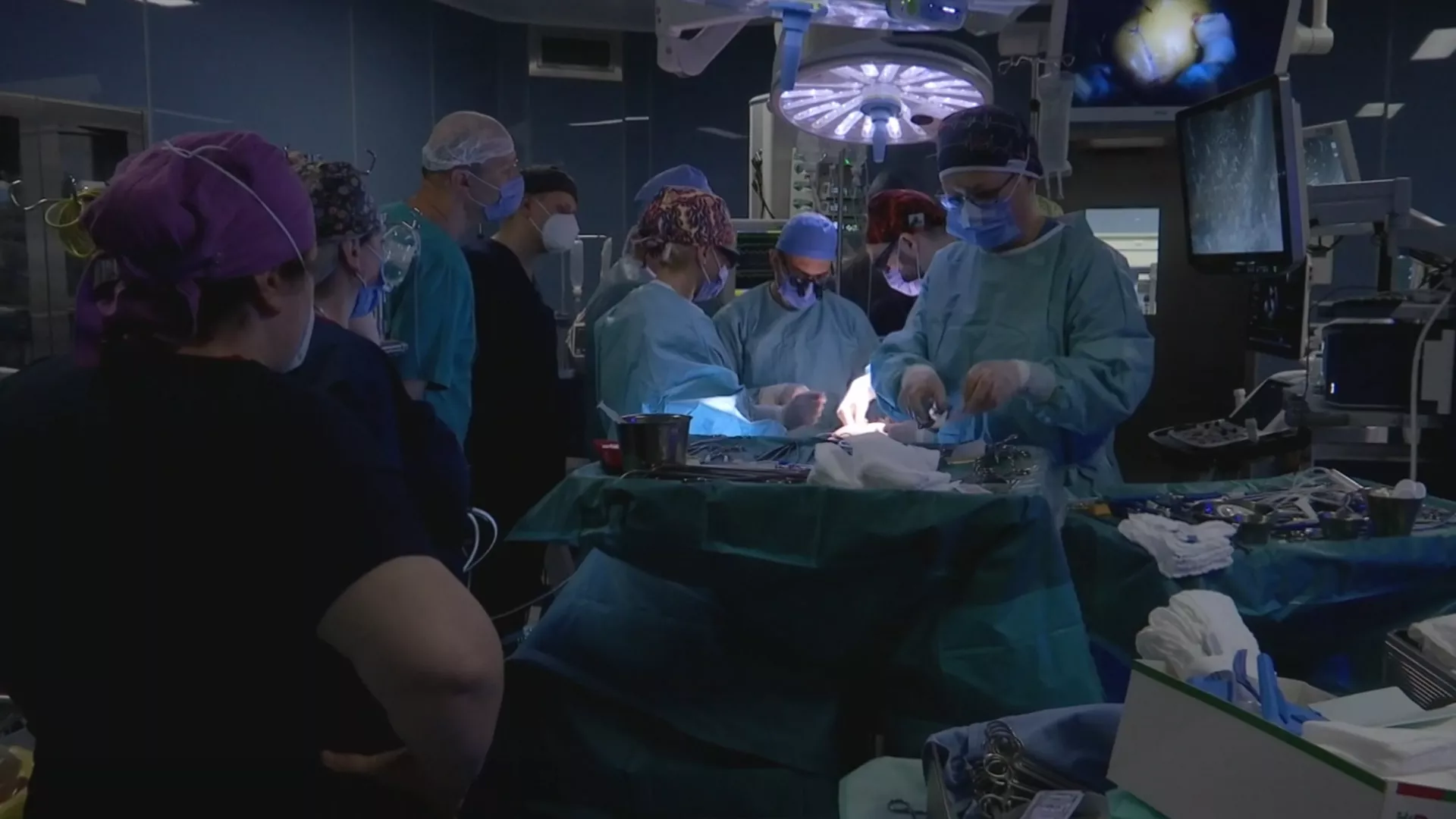 Пут победника: Два брата. Два скалпела. Један татами