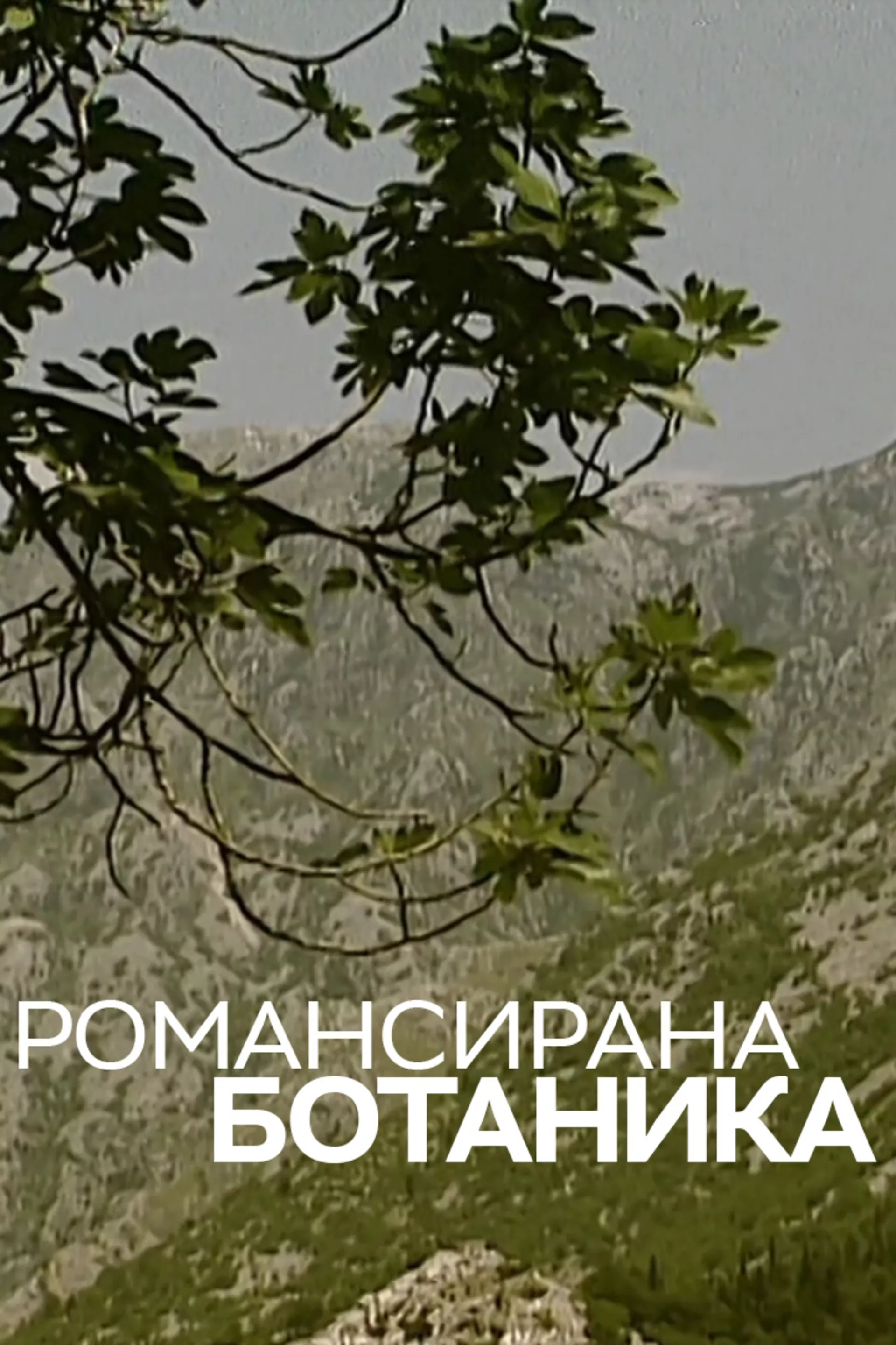 Романсирана ботаника