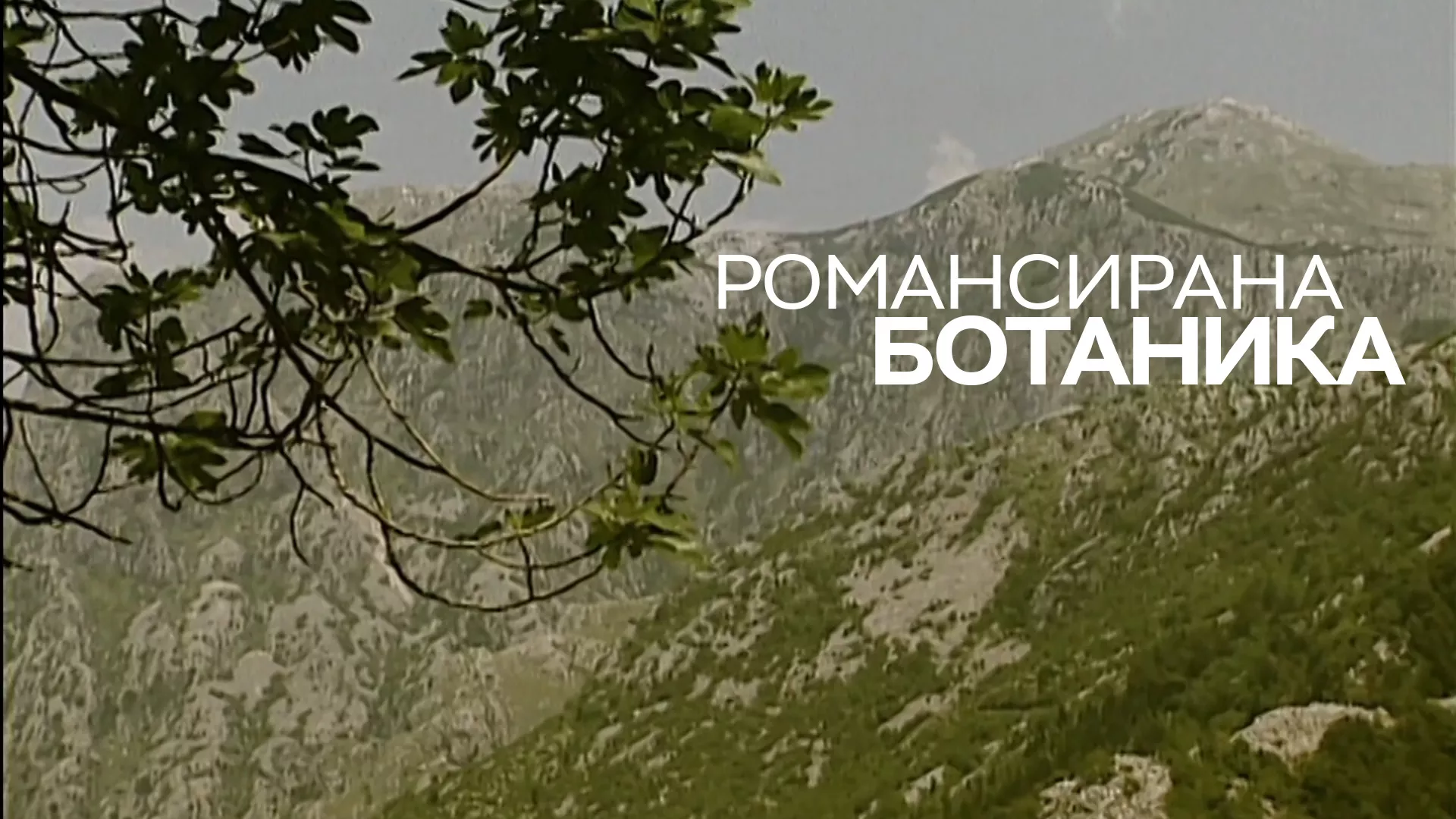 Романсирана ботаника