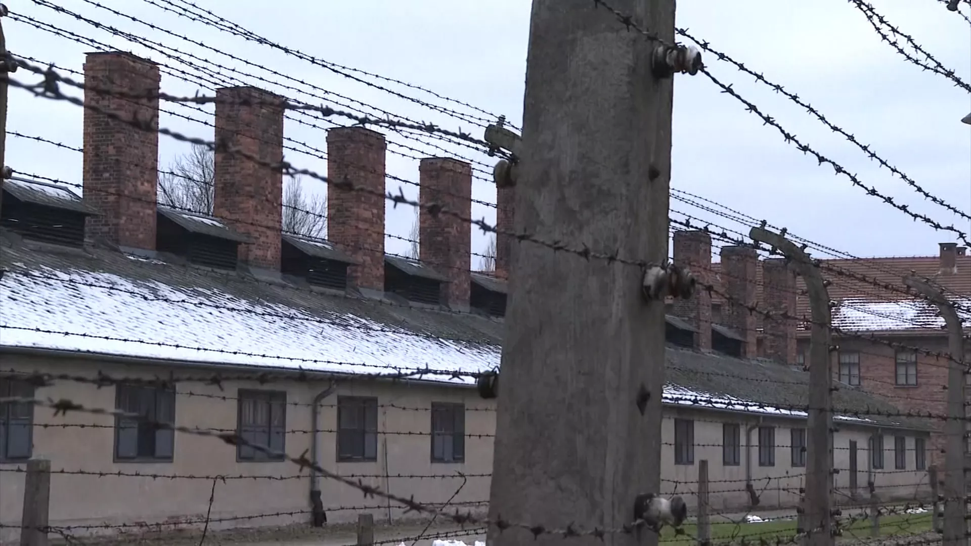 Романипен, 141. епизода