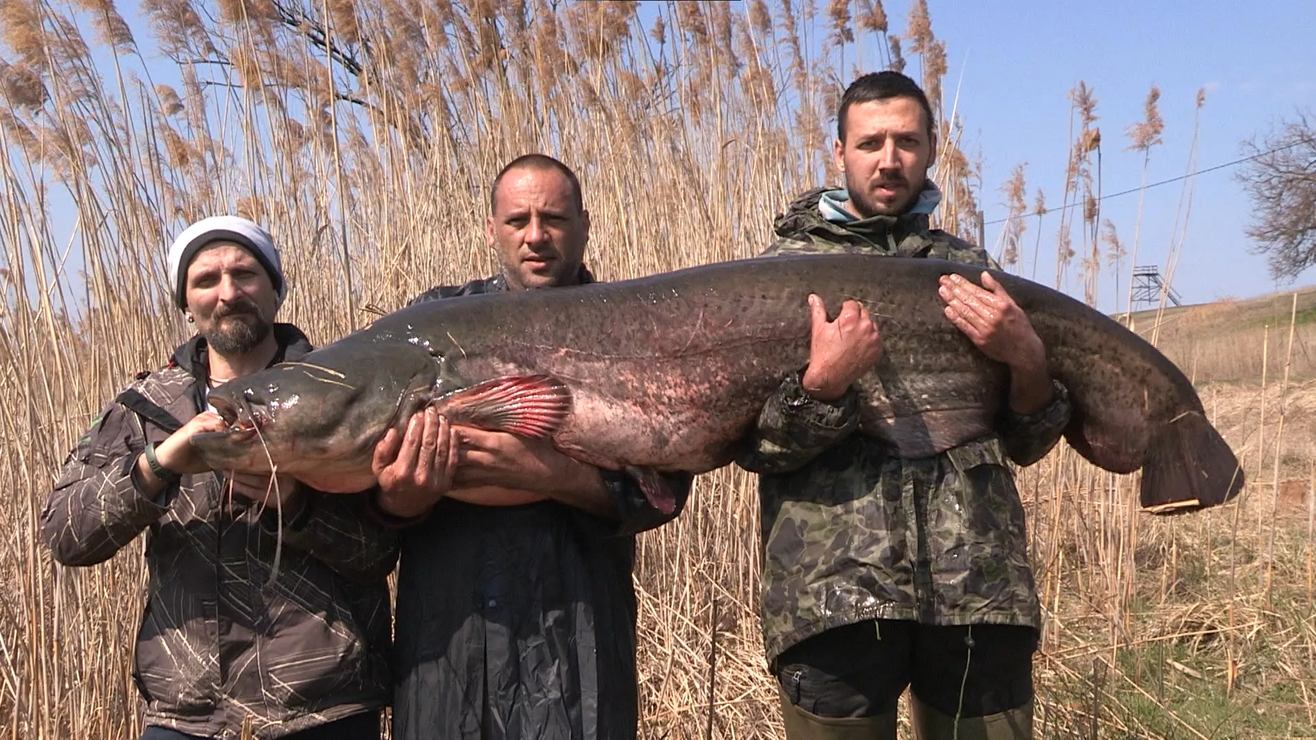 Лов и риболов: Лов сома у Делиблату