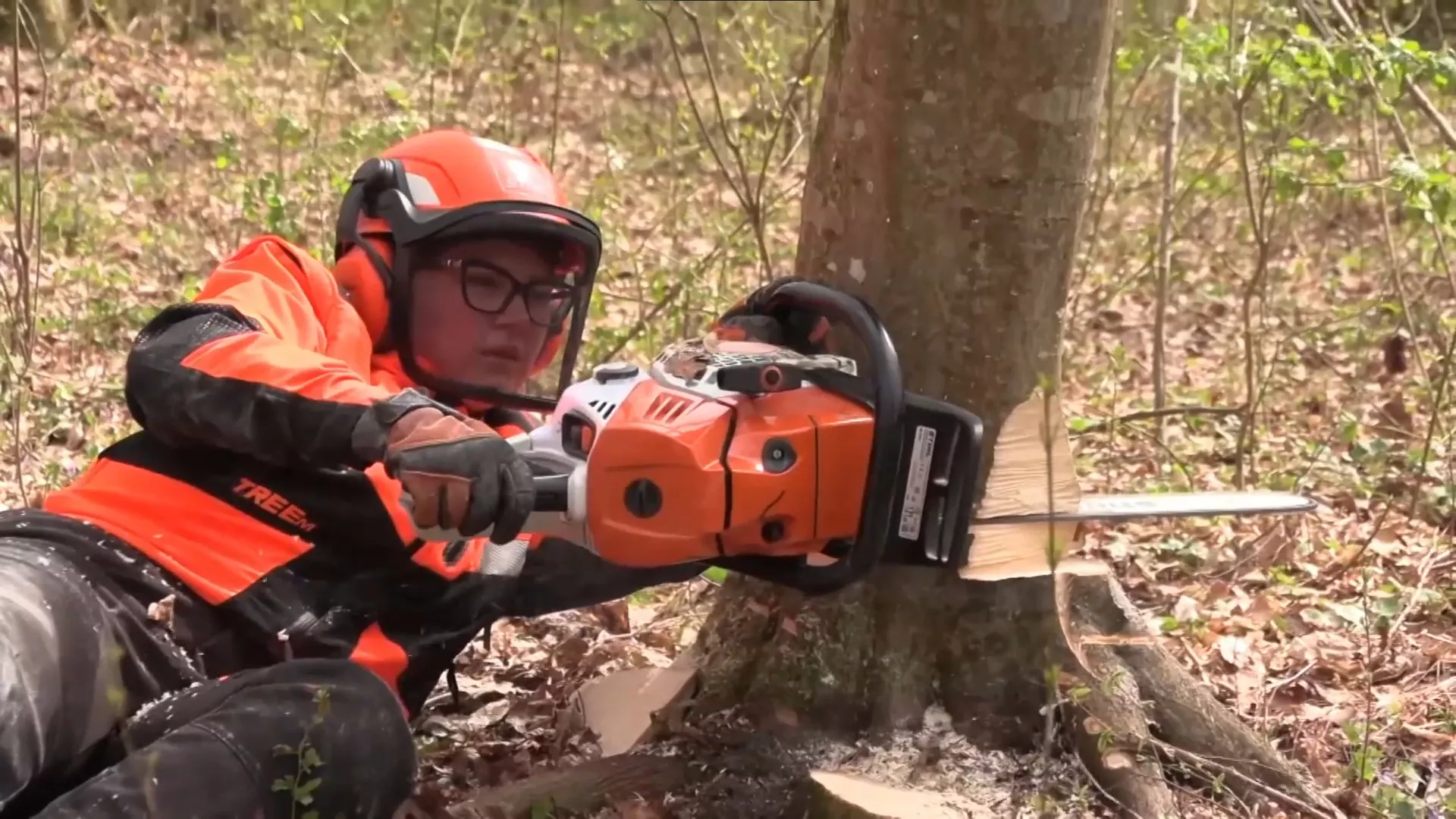 Златна девојка дрвосеча из Моровића