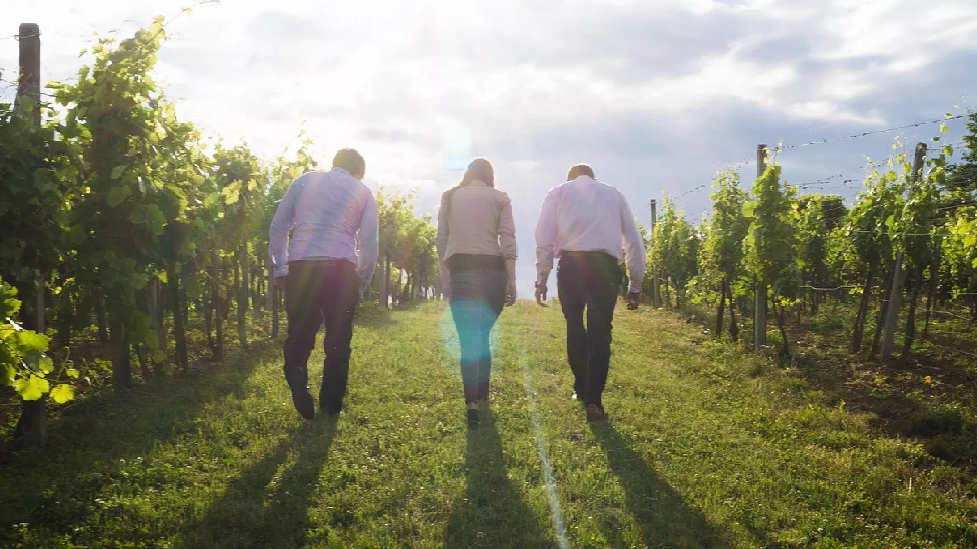 Доживети стоту - Како „преживети“ женски и мушки климакс?