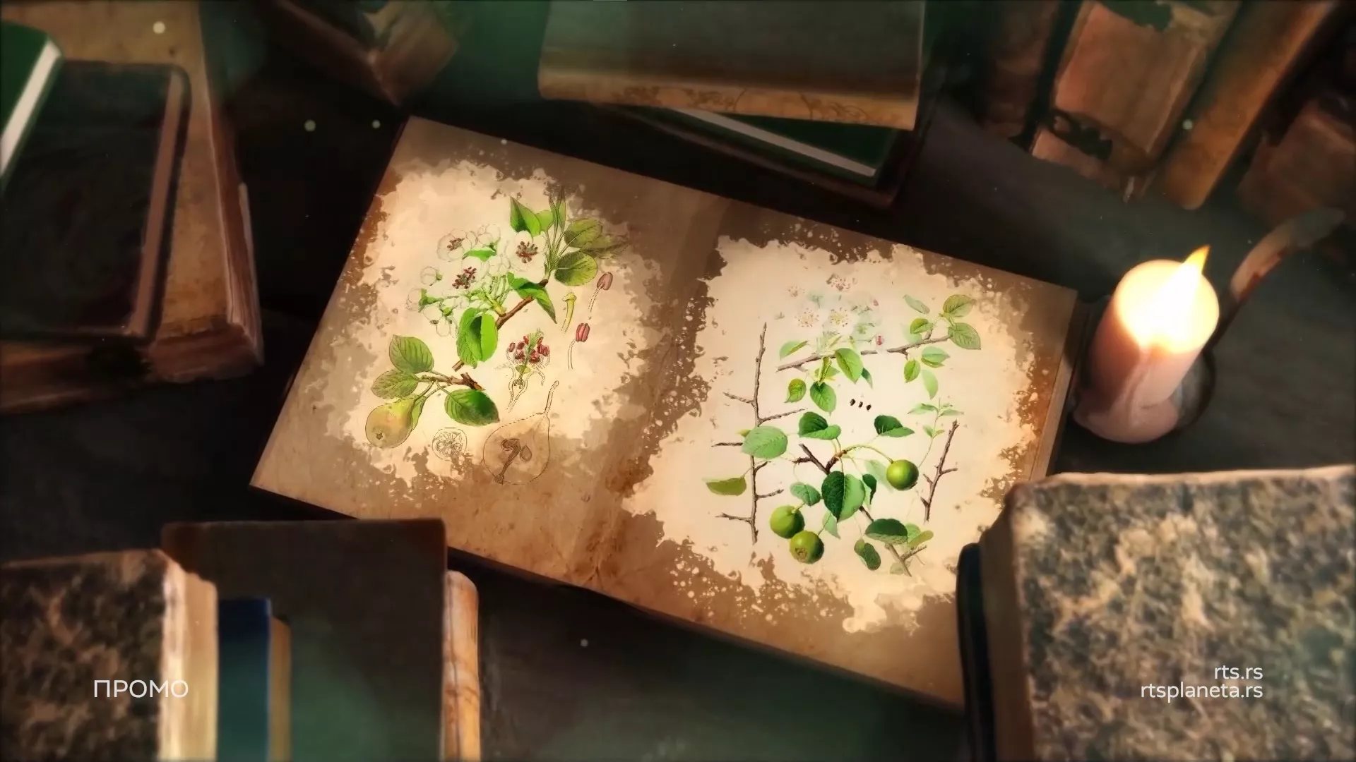 „Археокухиња: За трпезом кнеза Велимира” на РТС-у