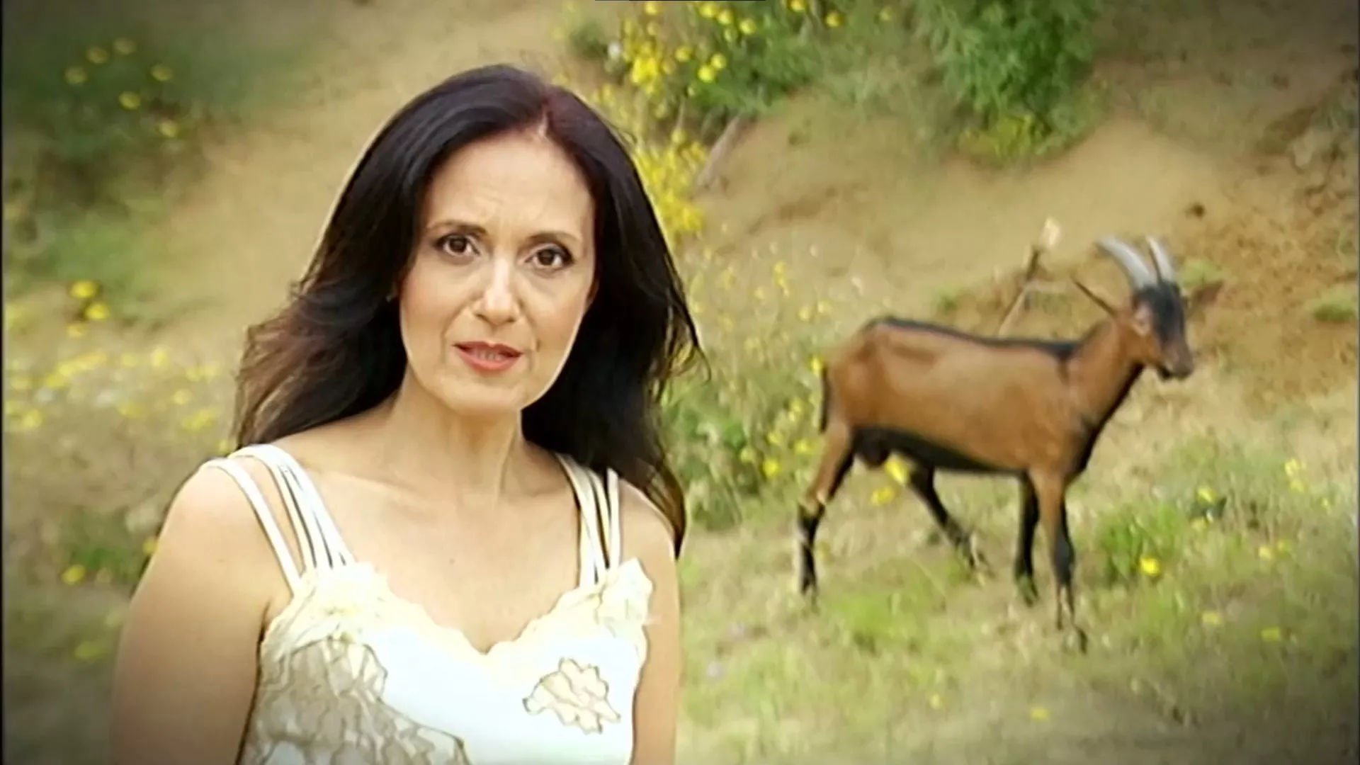 Бранислав Јарић (уредник и сценариста), Српска музика кроз векове: Музика паганских Срба, РТС, 2016