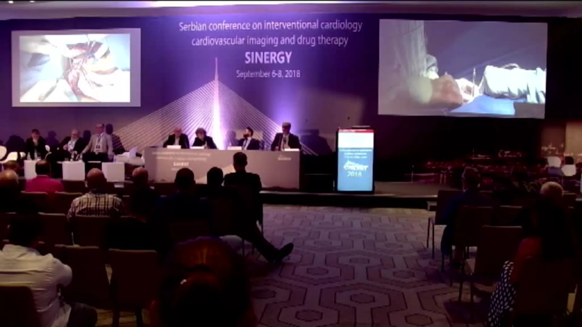 Синергија 2018, 2. дан