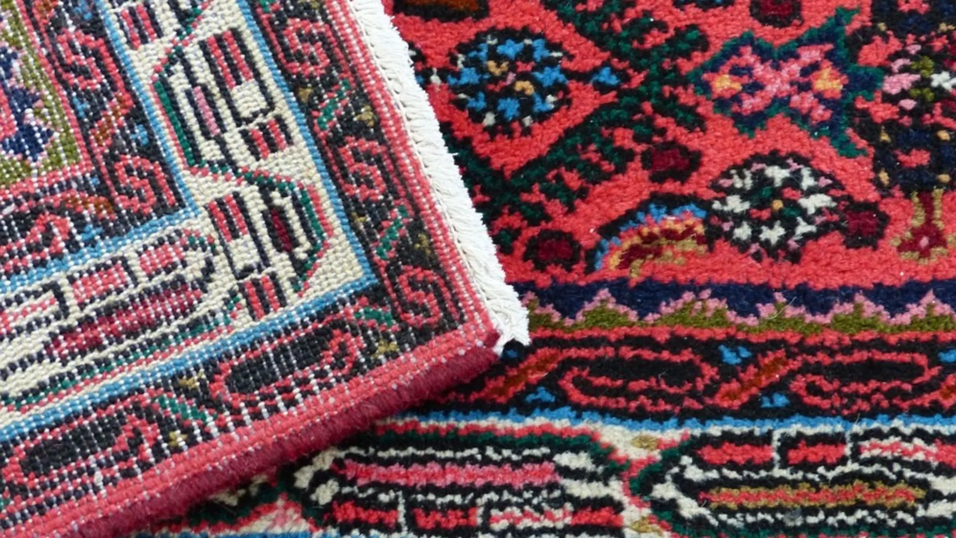 Говори да бих те видео – Ружица Илић