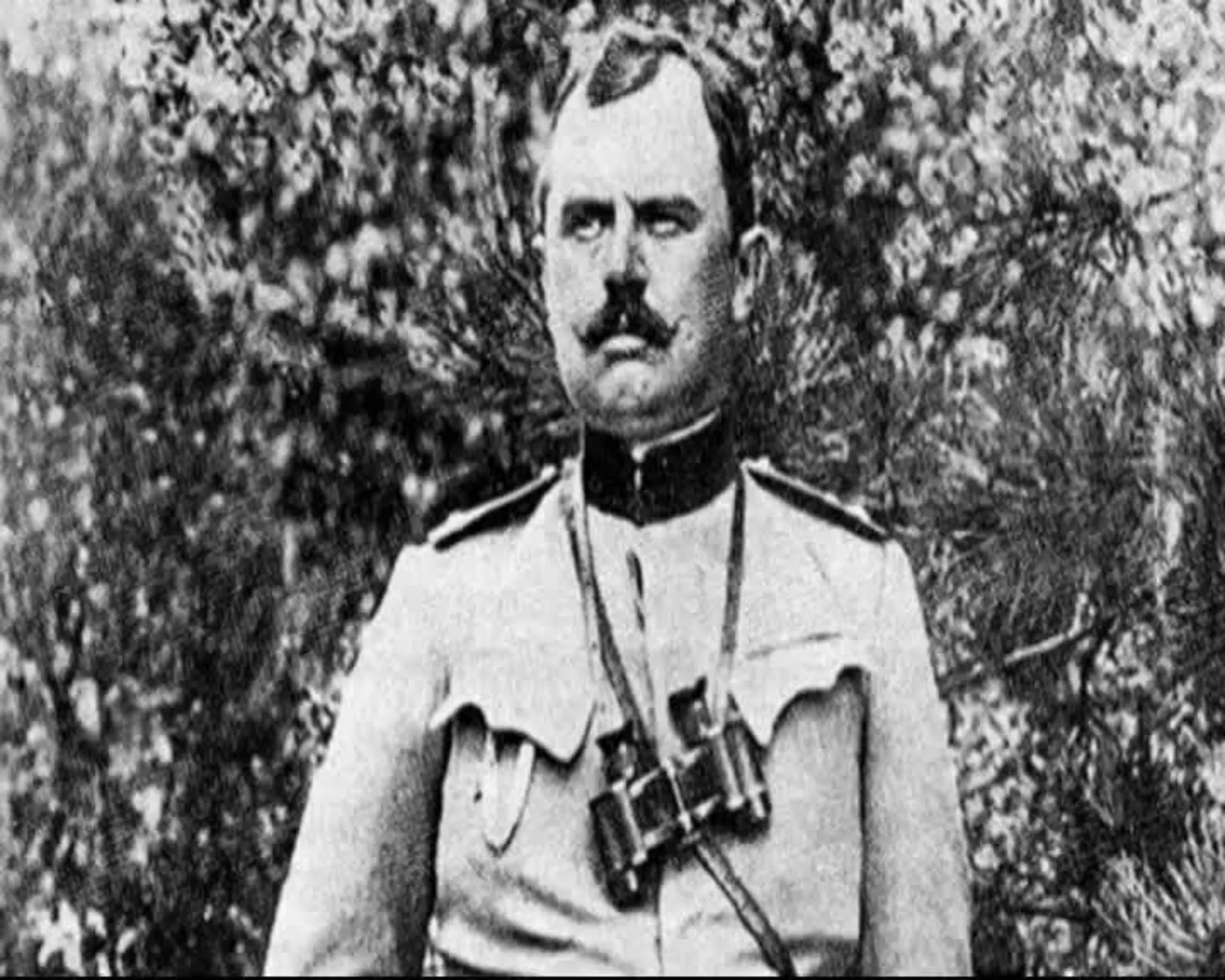 Великани – Драгутин Гавриловић