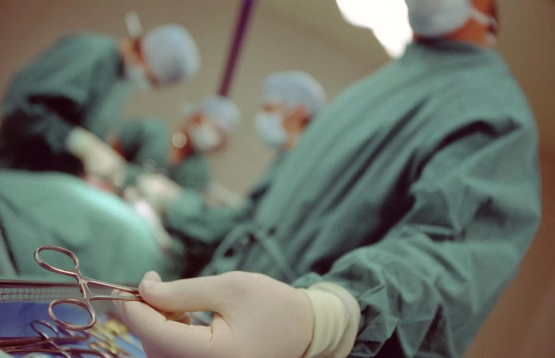 Хипократија – Закон о трансплантацији људских органа