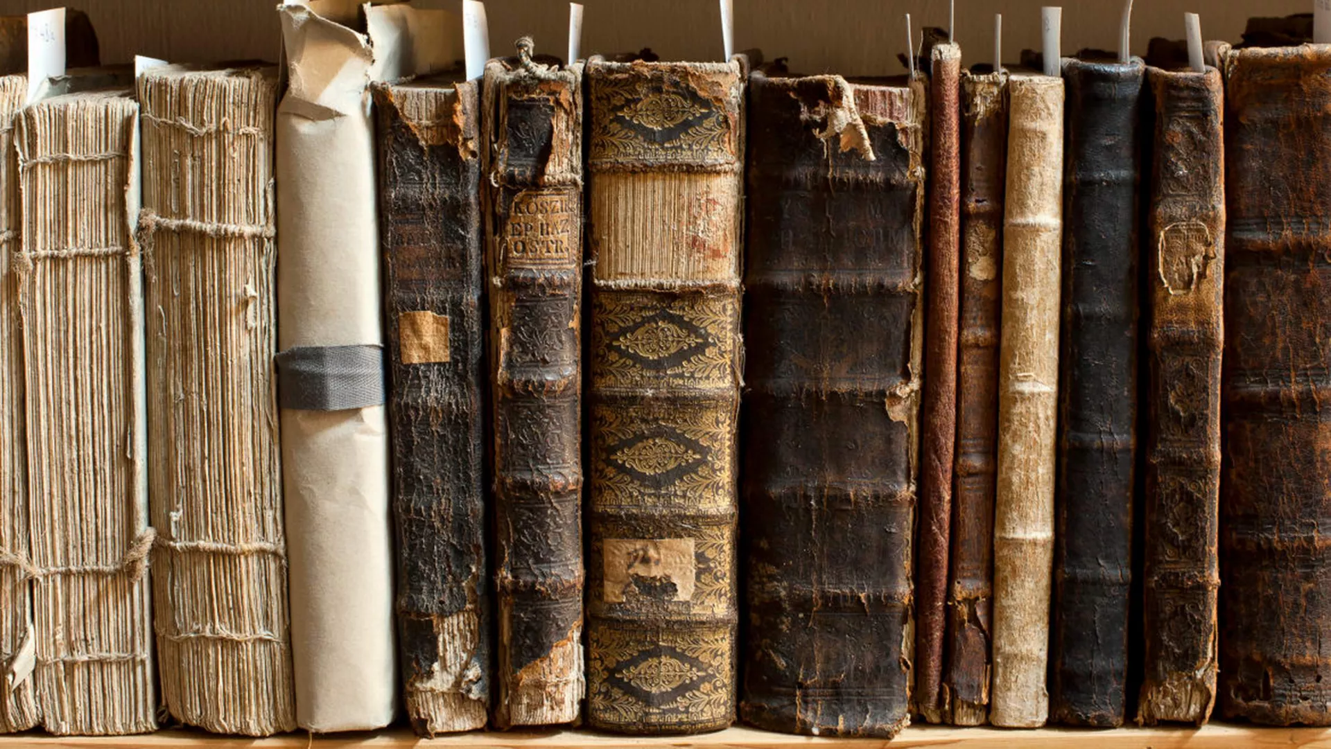 Пут у речи – Генитив множине именица које се римују са „одредба"….