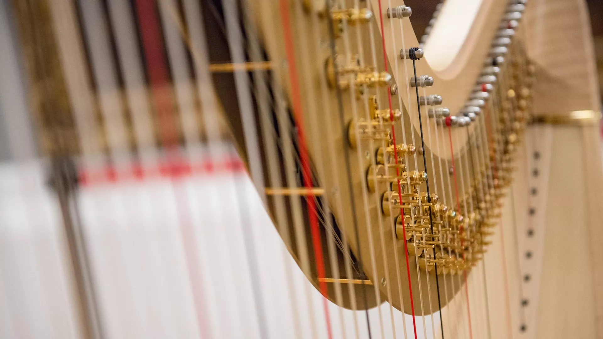 Време музике – Kетрин Финч