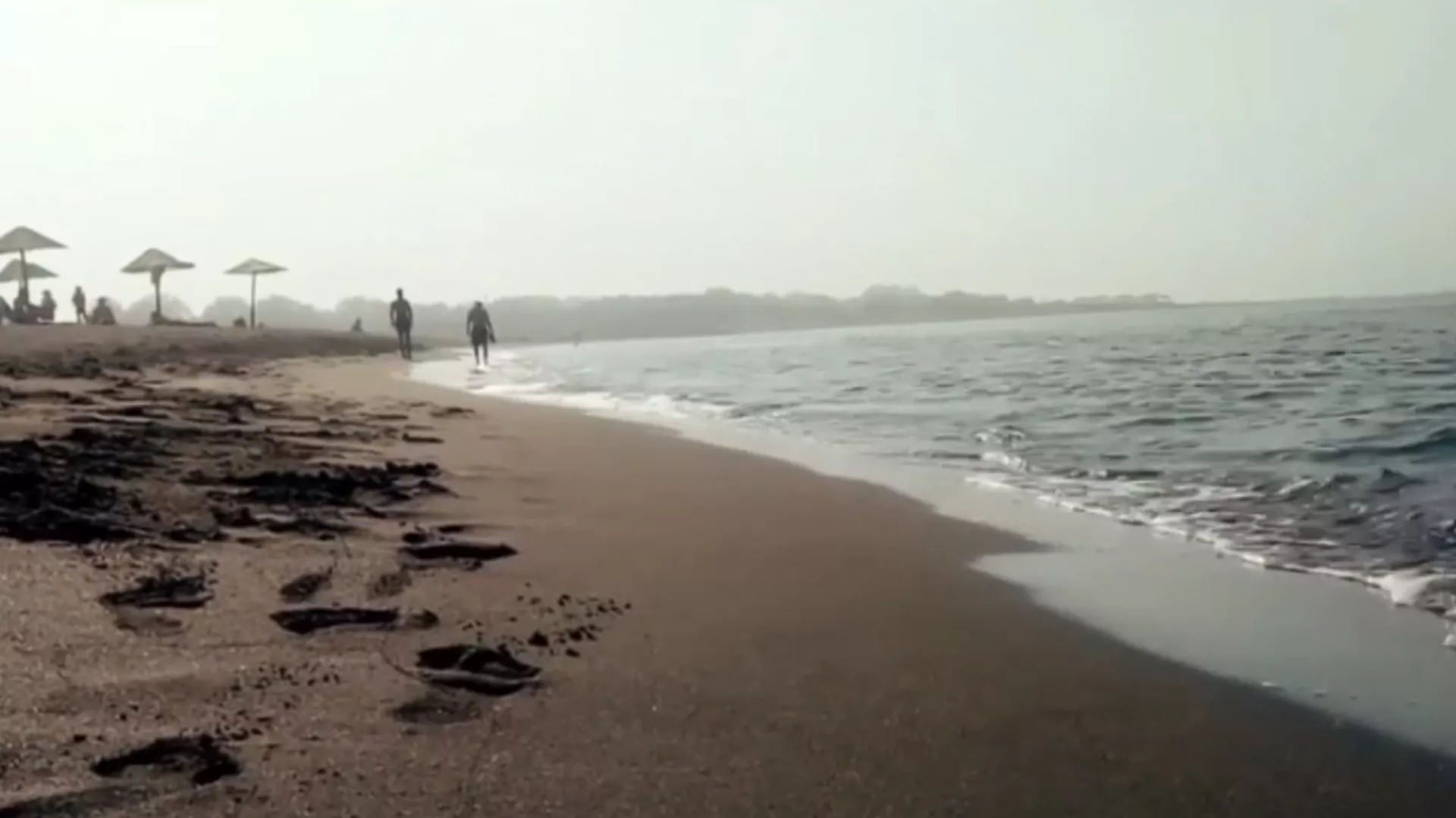 MTS Vision 2019 - Dingospo Dali – У подземљу