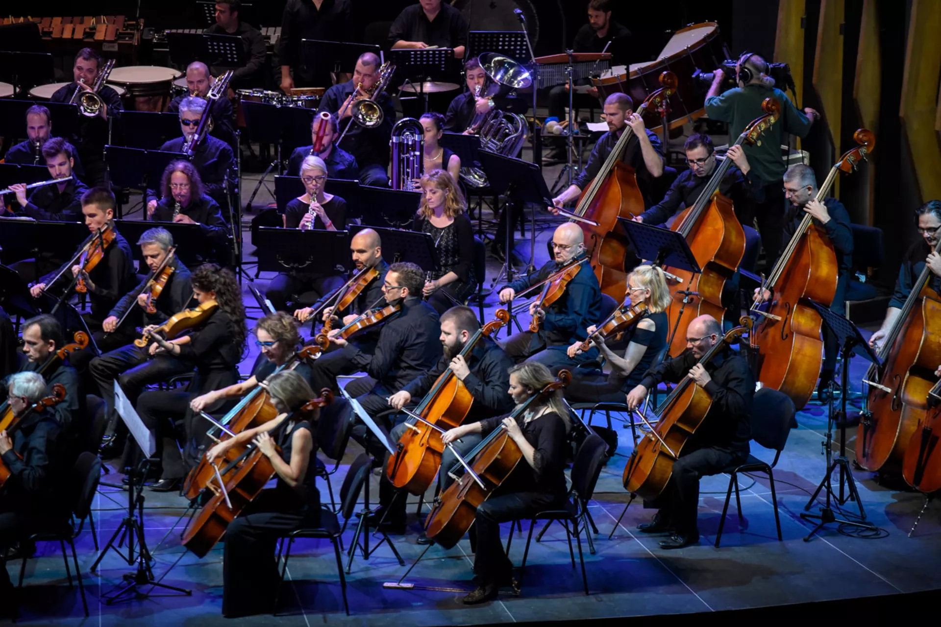 Арс сонора – 3.12.2018.