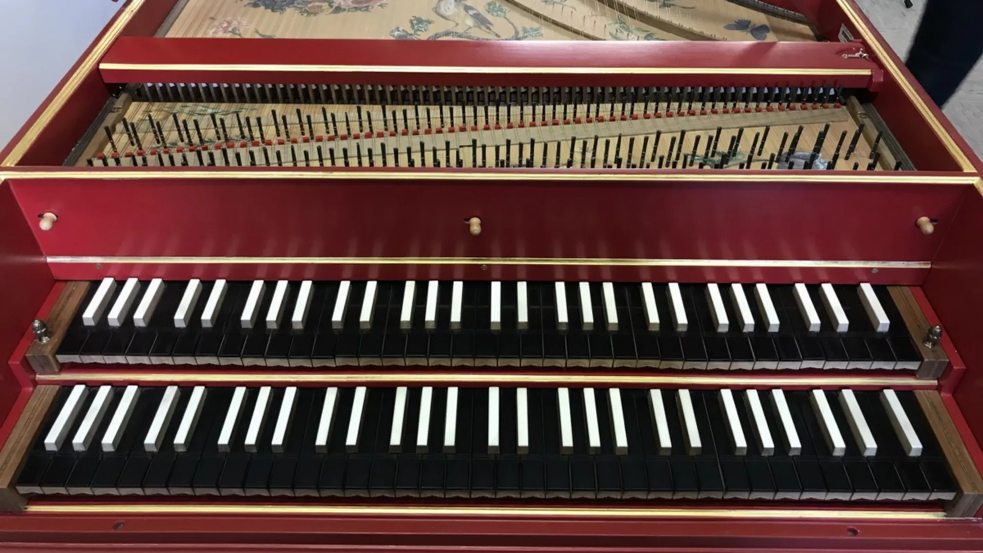 Антикотека – Ванда Ландовска и Зузана Ружичкова