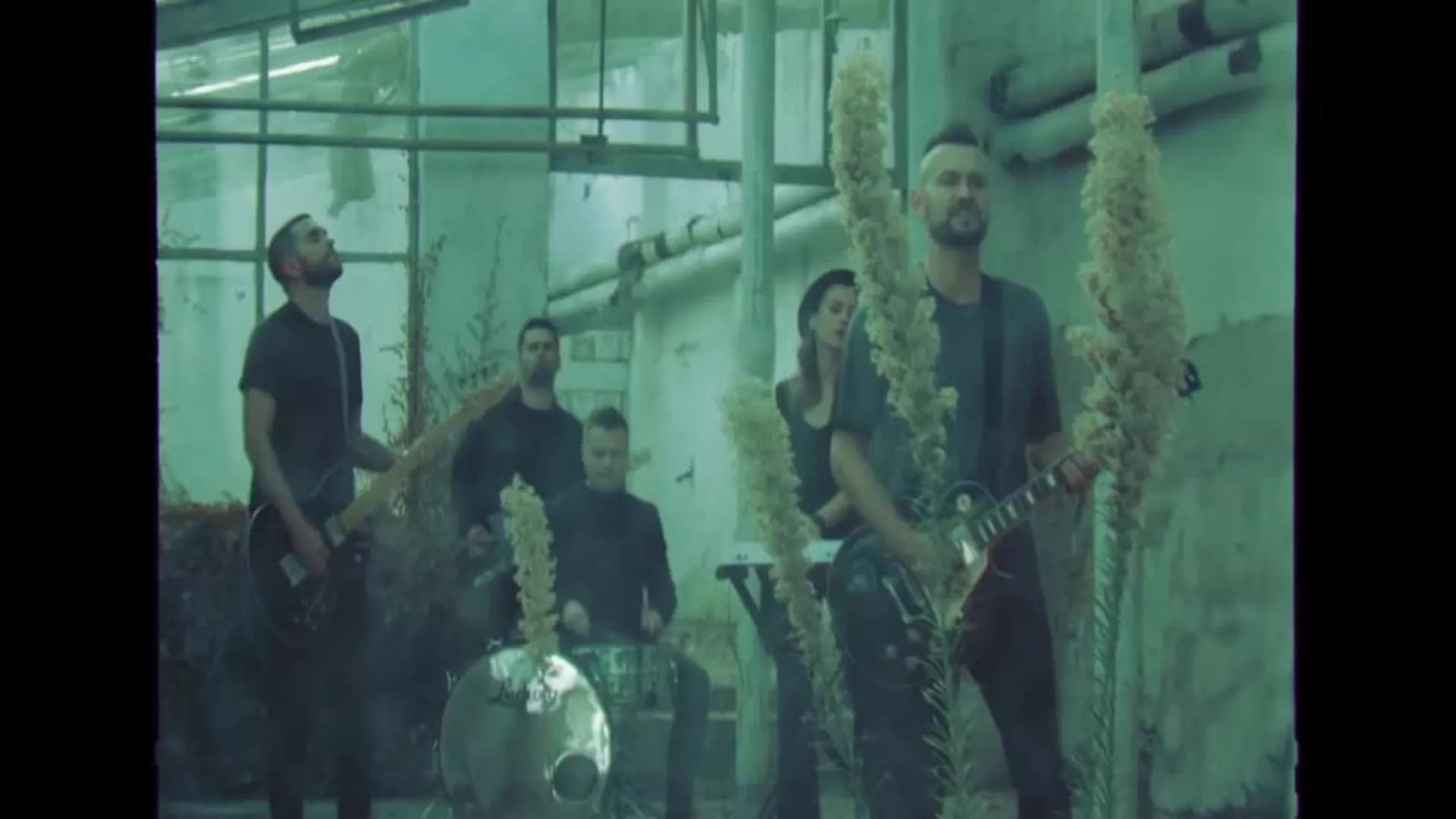 MTS Vision 2019 – Ватра – Уклети Холандез