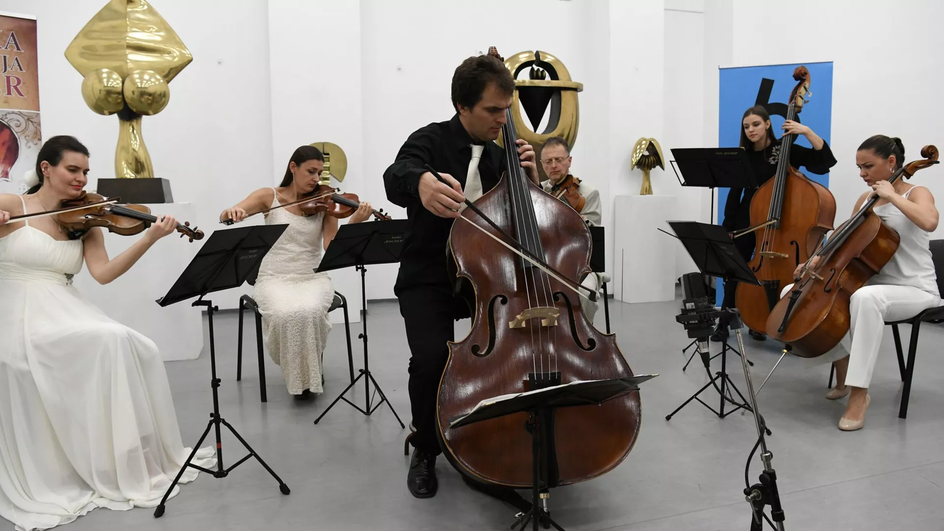 Време музике - Снимак концерта "Контрабас у првом плану" из циклуса Гудачи у галерији