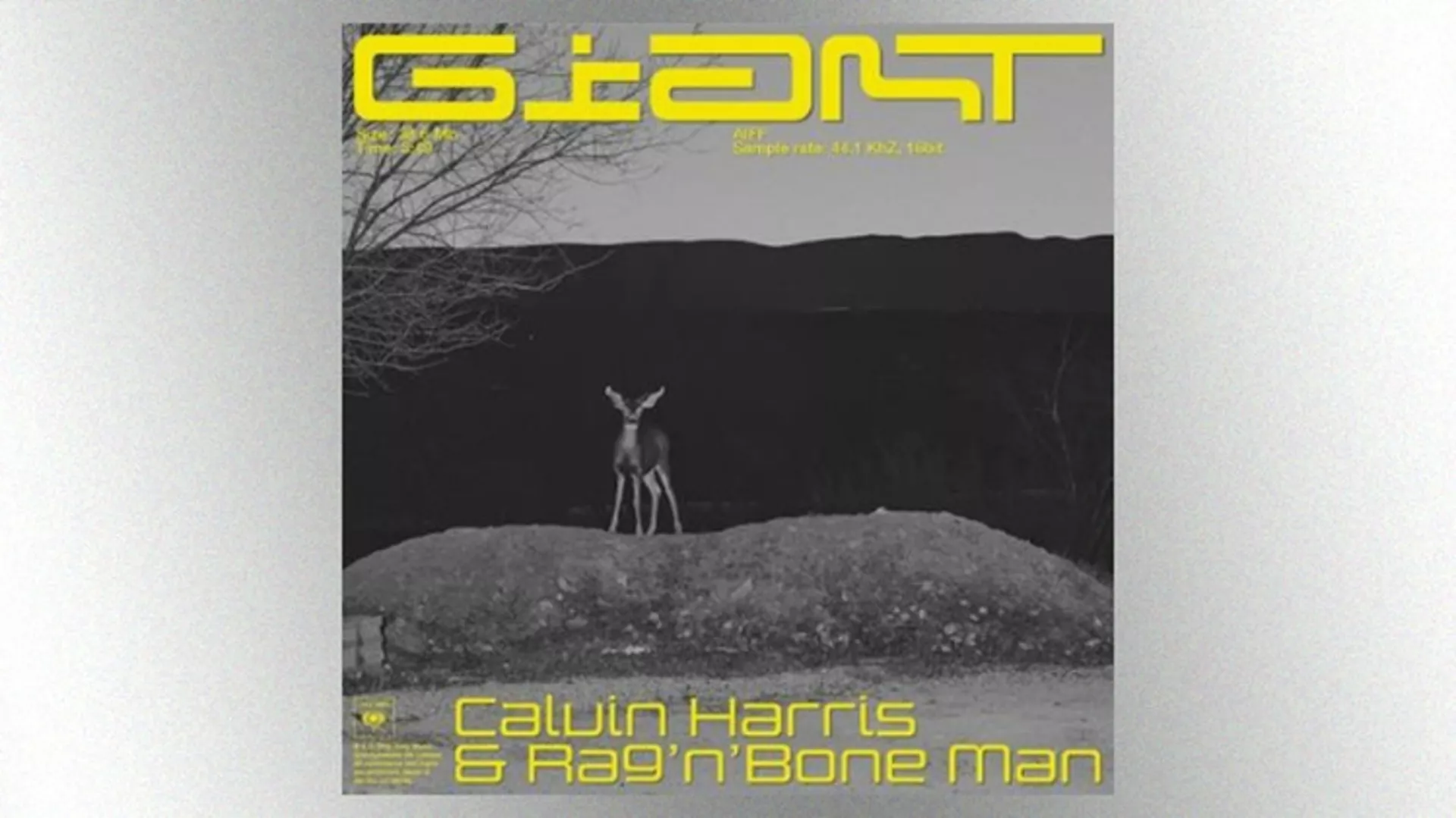 CALVIN HARRIS & RAG'N'BONE MAN – Giant