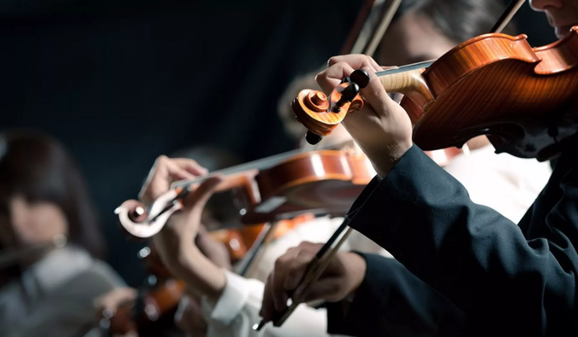 Арс сонора – 25. 02. 2019.