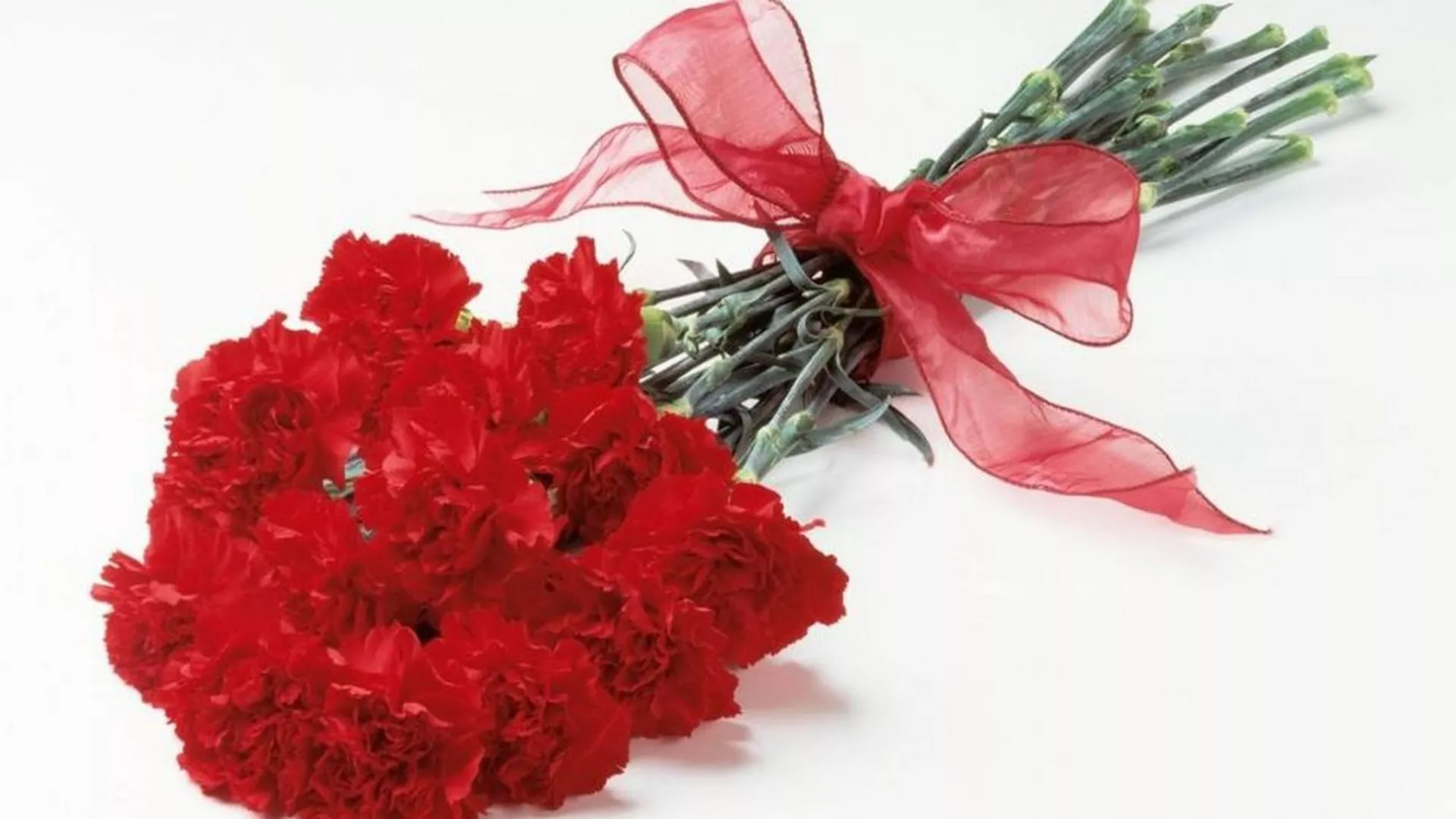 Од злата јабука – Каранфил