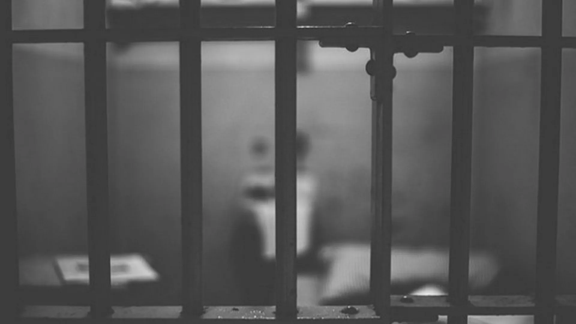 У средишту пажње – пооштравање казнене политике