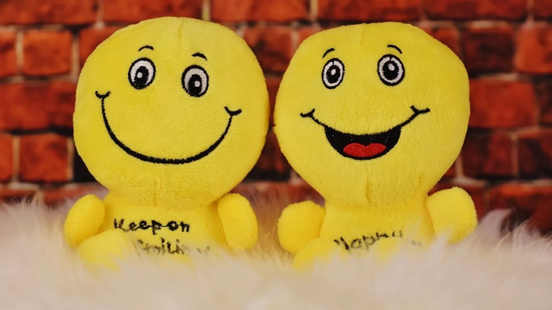 Правац 202 – Музика и срећа