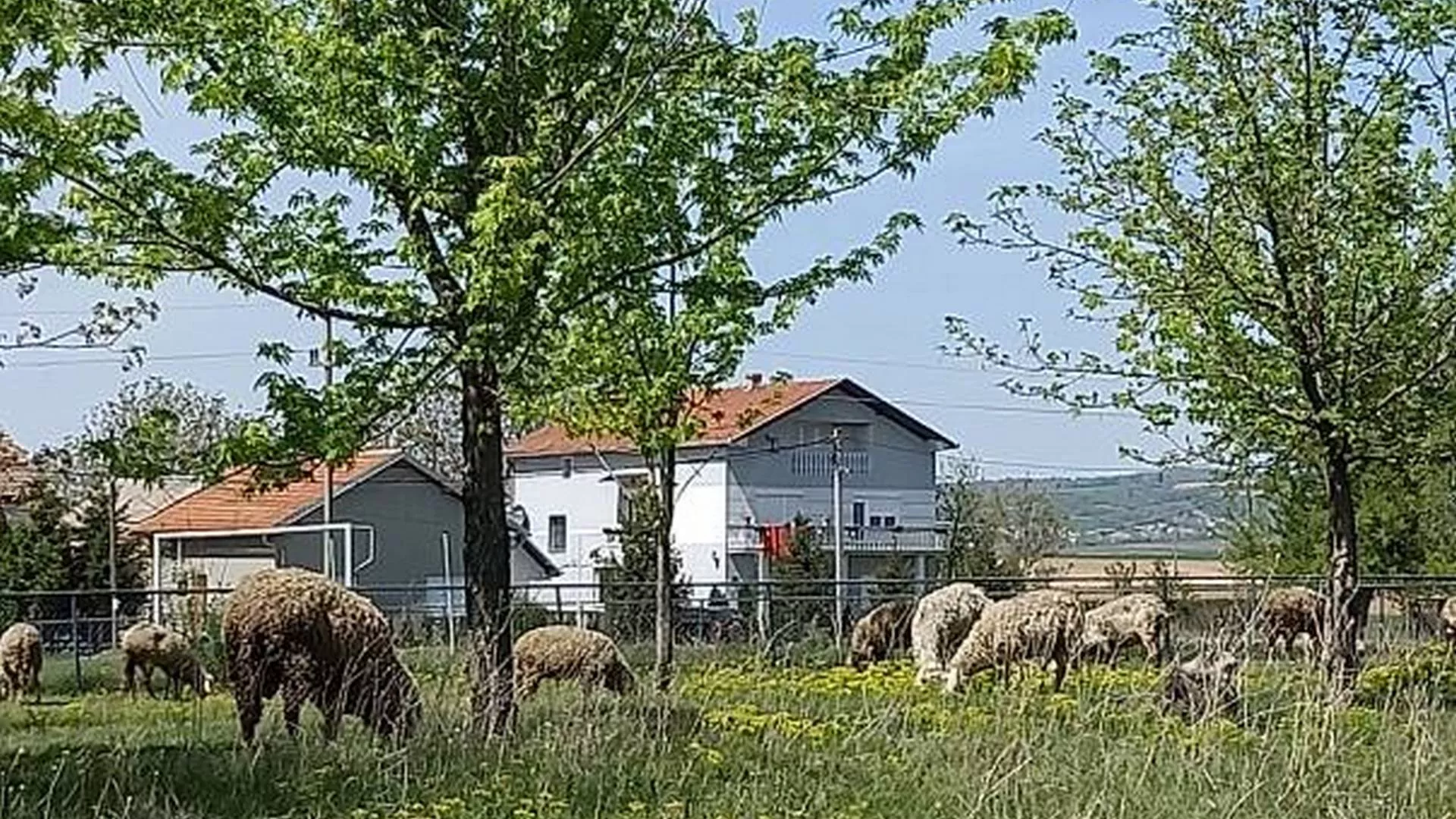 Недељом за село – Радови на њиви