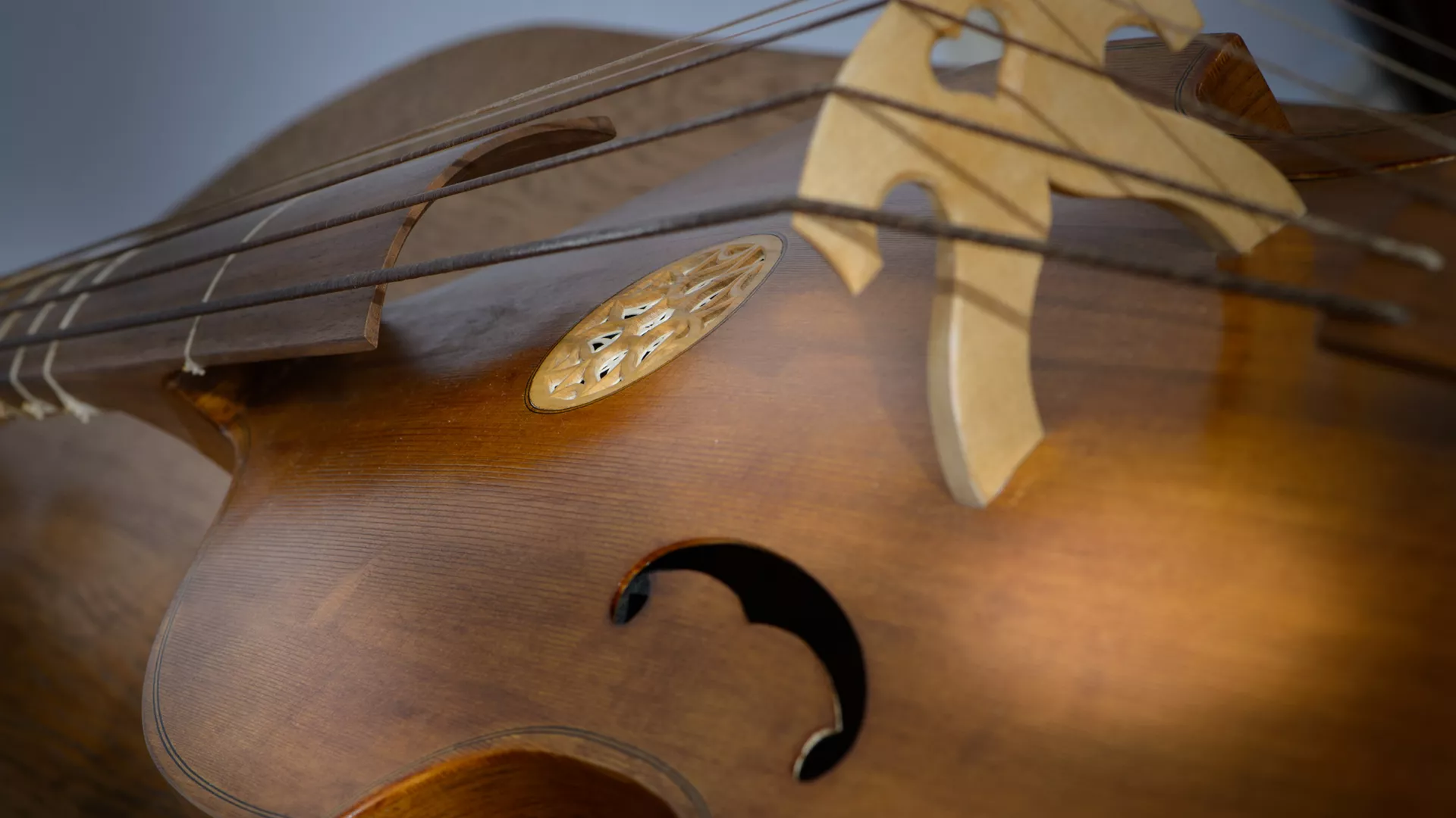 Време музике – Рејчел Поџер, виолина