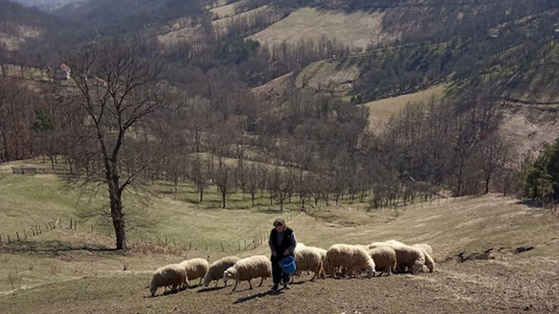 Доживети стоту – засеоци Повлена