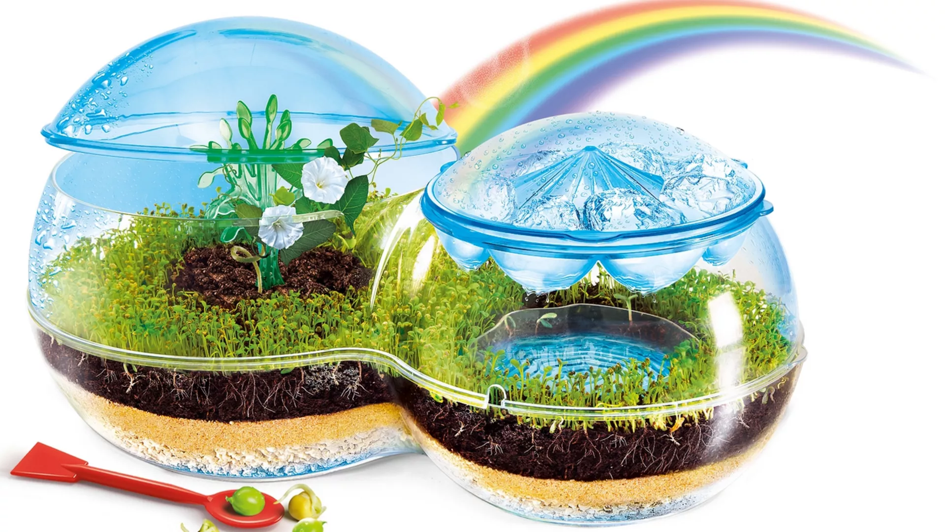 Соларис – Порекло макроеволуционих иновација