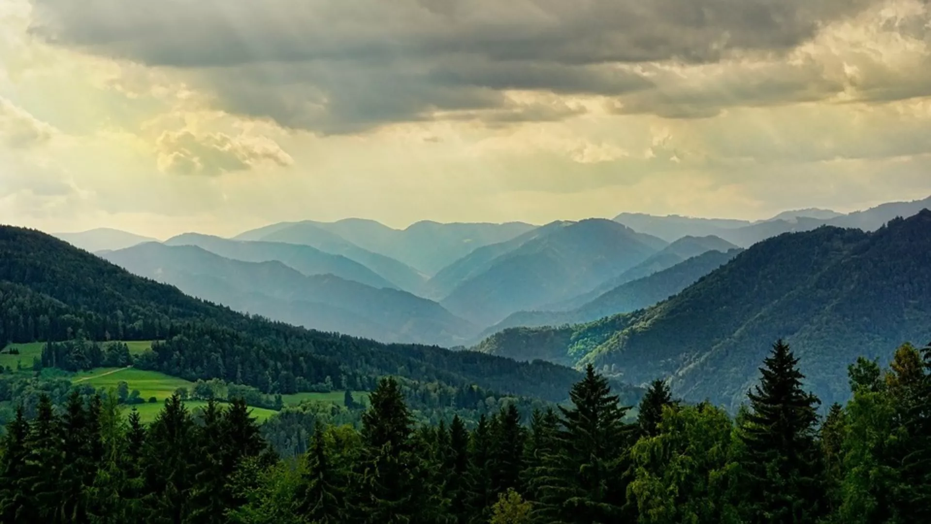 Обрати пажњу – Улазница за боравак у природи