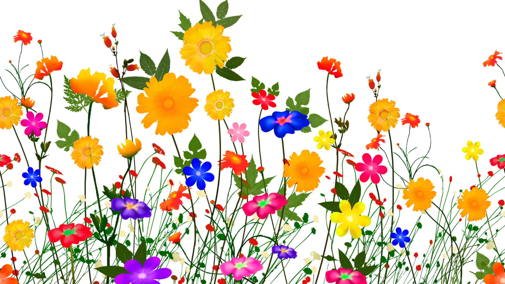 Од злата јабука – Песме посвећене цвећу