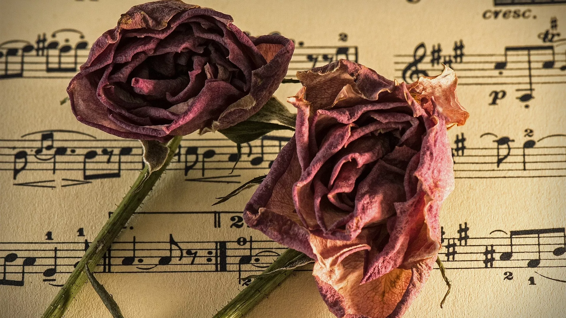 Време музике – Корнелију у спомен