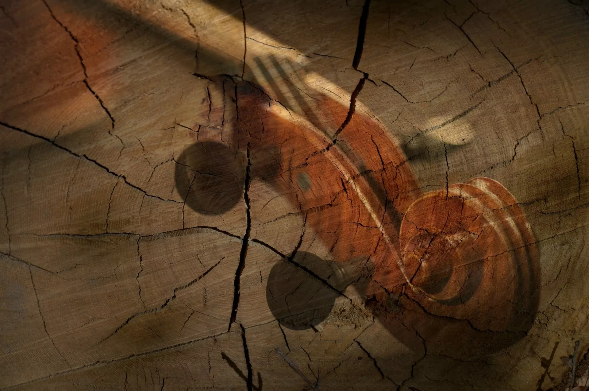 Аутограм – БЕТОВЕНОВ ПРВИ ГУДАЧКИ ТРИО