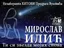 Мирослав Илић